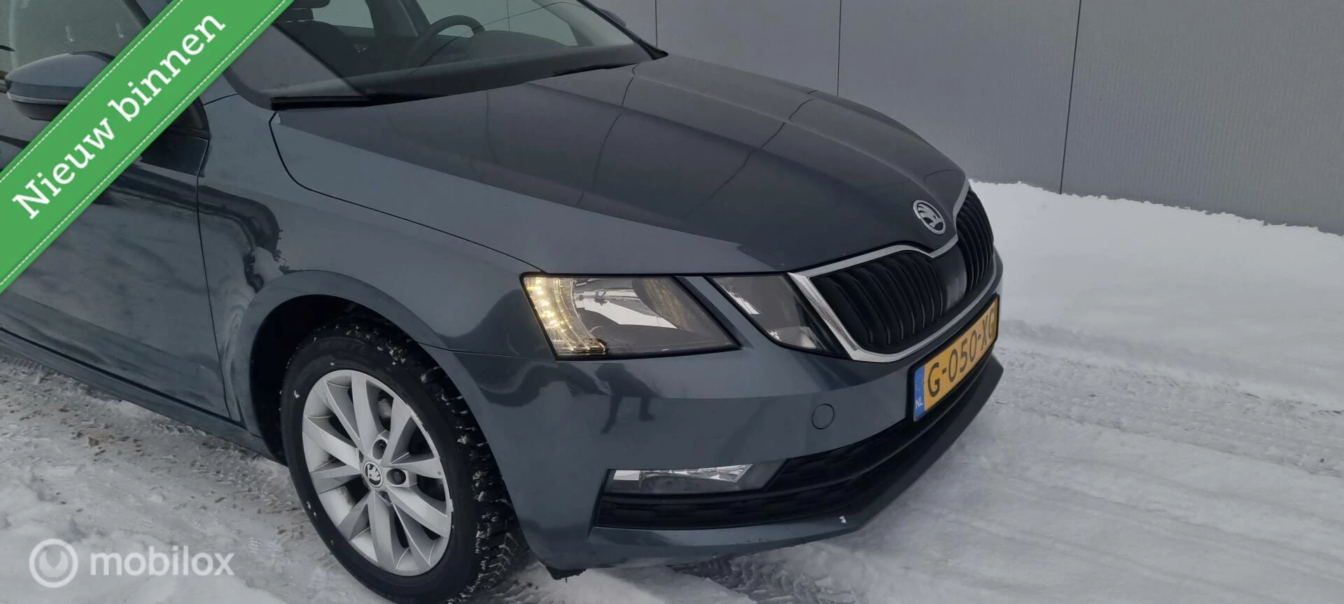 Hoofdafbeelding Škoda Octavia