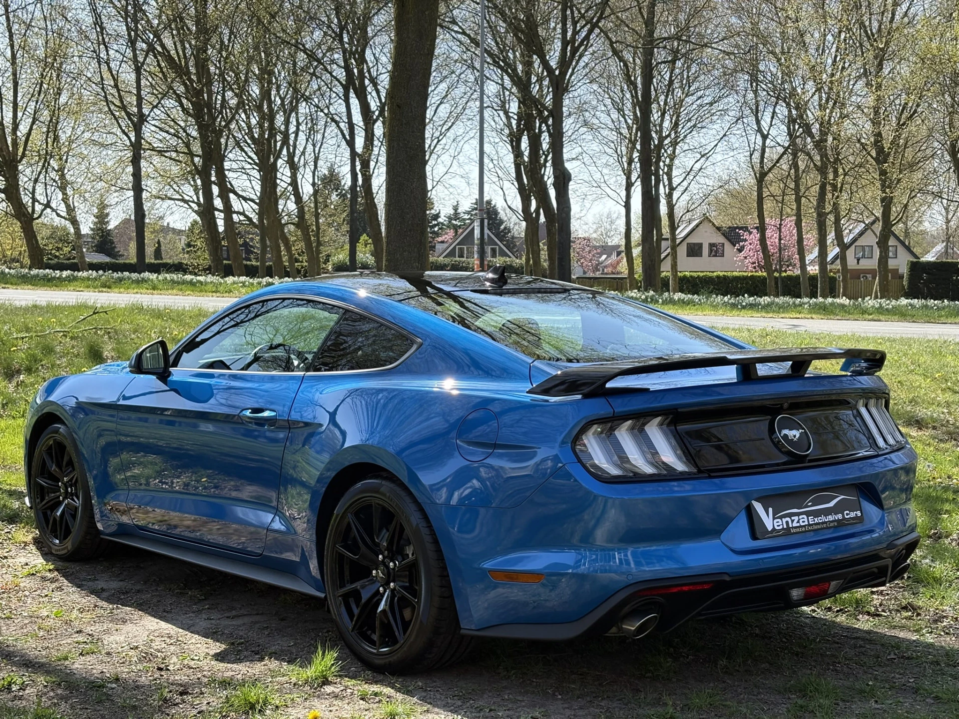 Hoofdafbeelding Ford Mustang