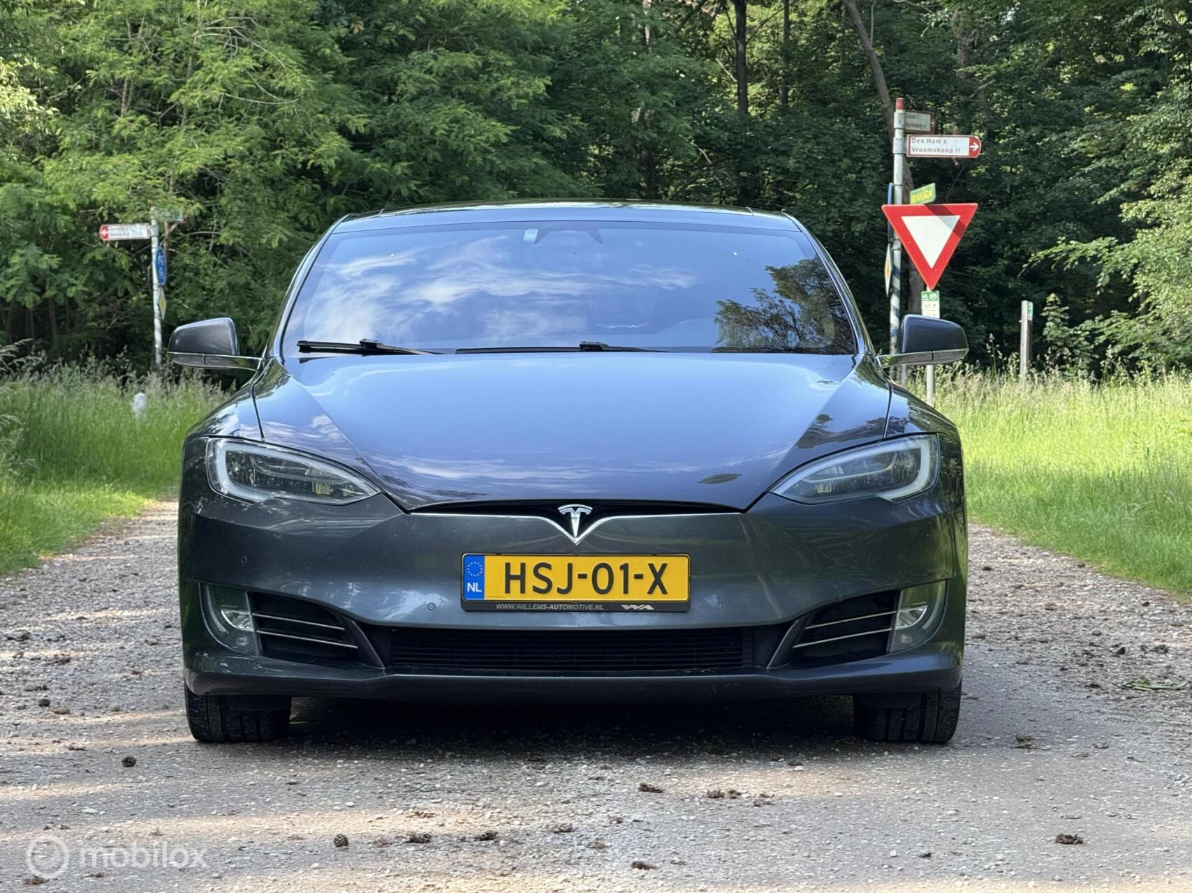 Hoofdafbeelding Tesla Model S