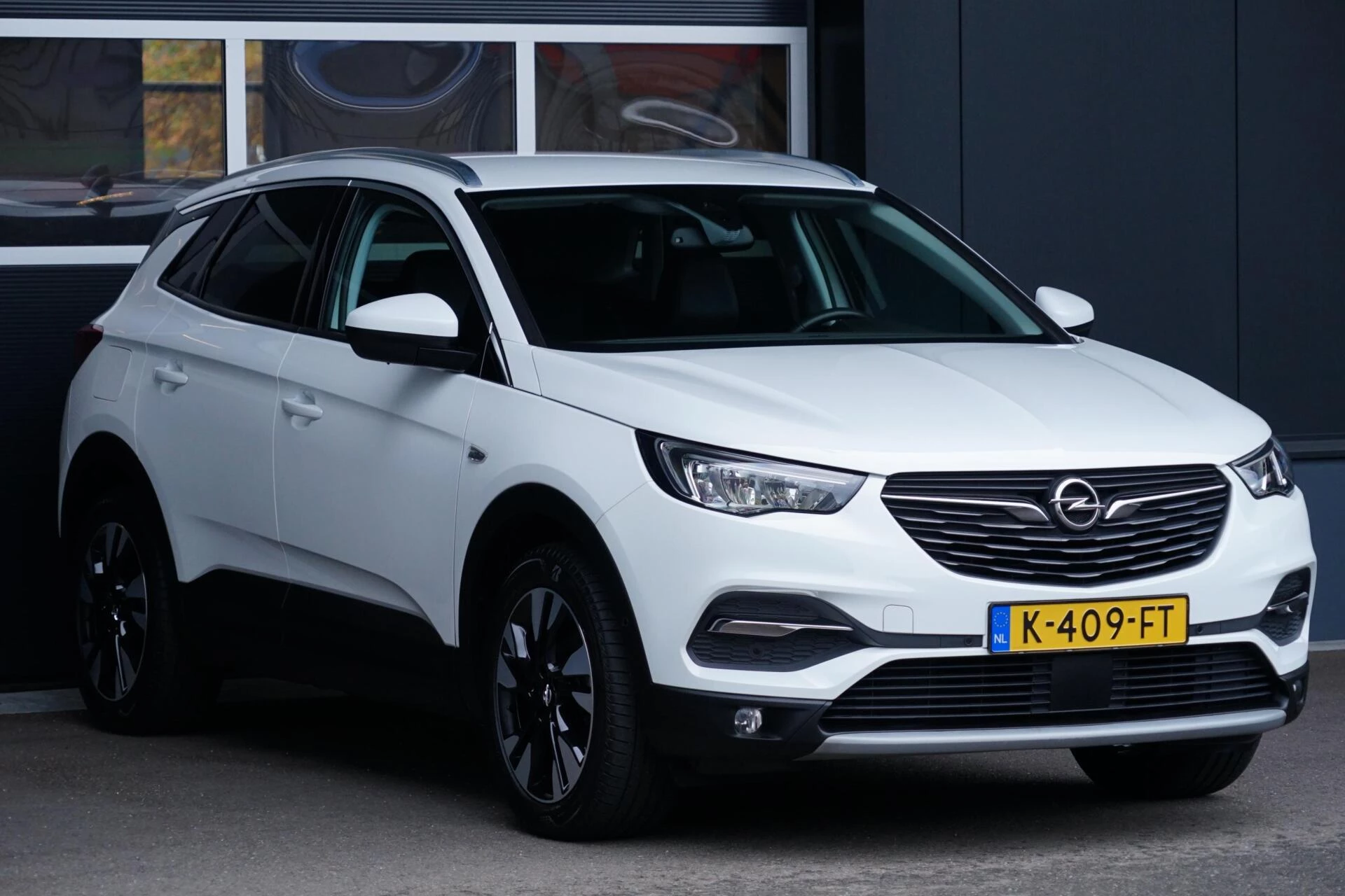 Hoofdafbeelding Opel Grandland X