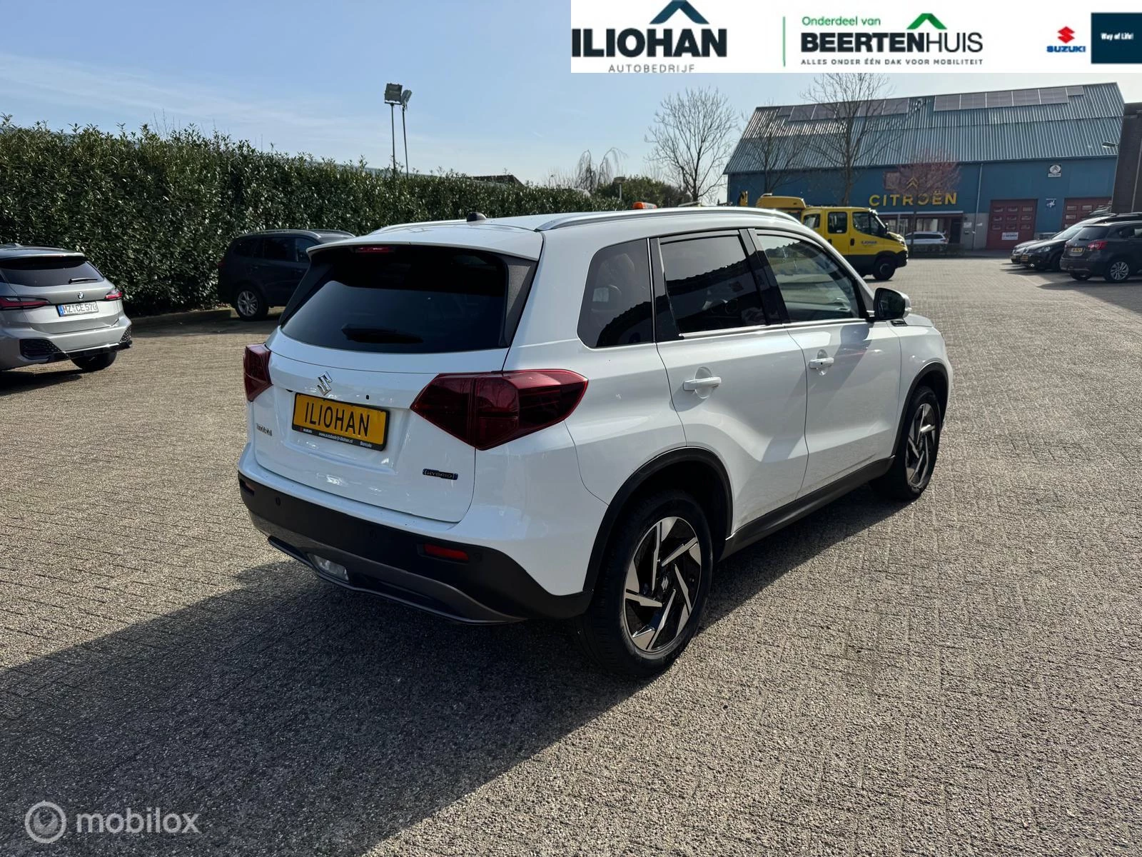 Hoofdafbeelding Suzuki Vitara