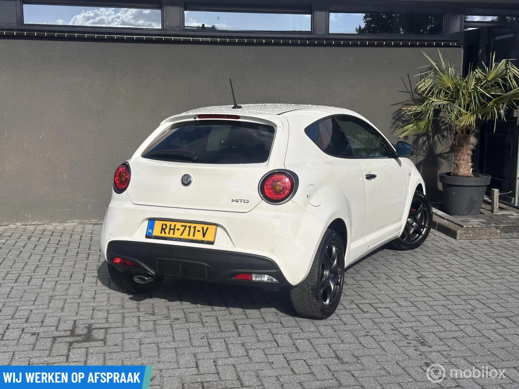 Hoofdafbeelding Alfa Romeo MiTo