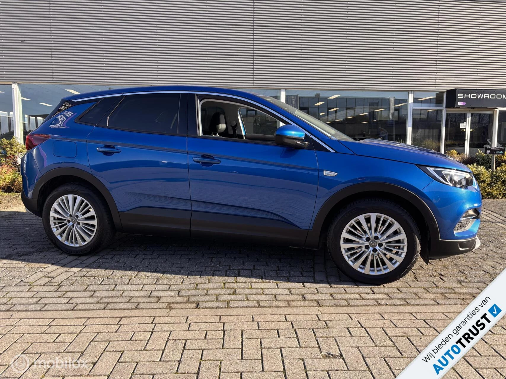 Hoofdafbeelding Opel Grandland X
