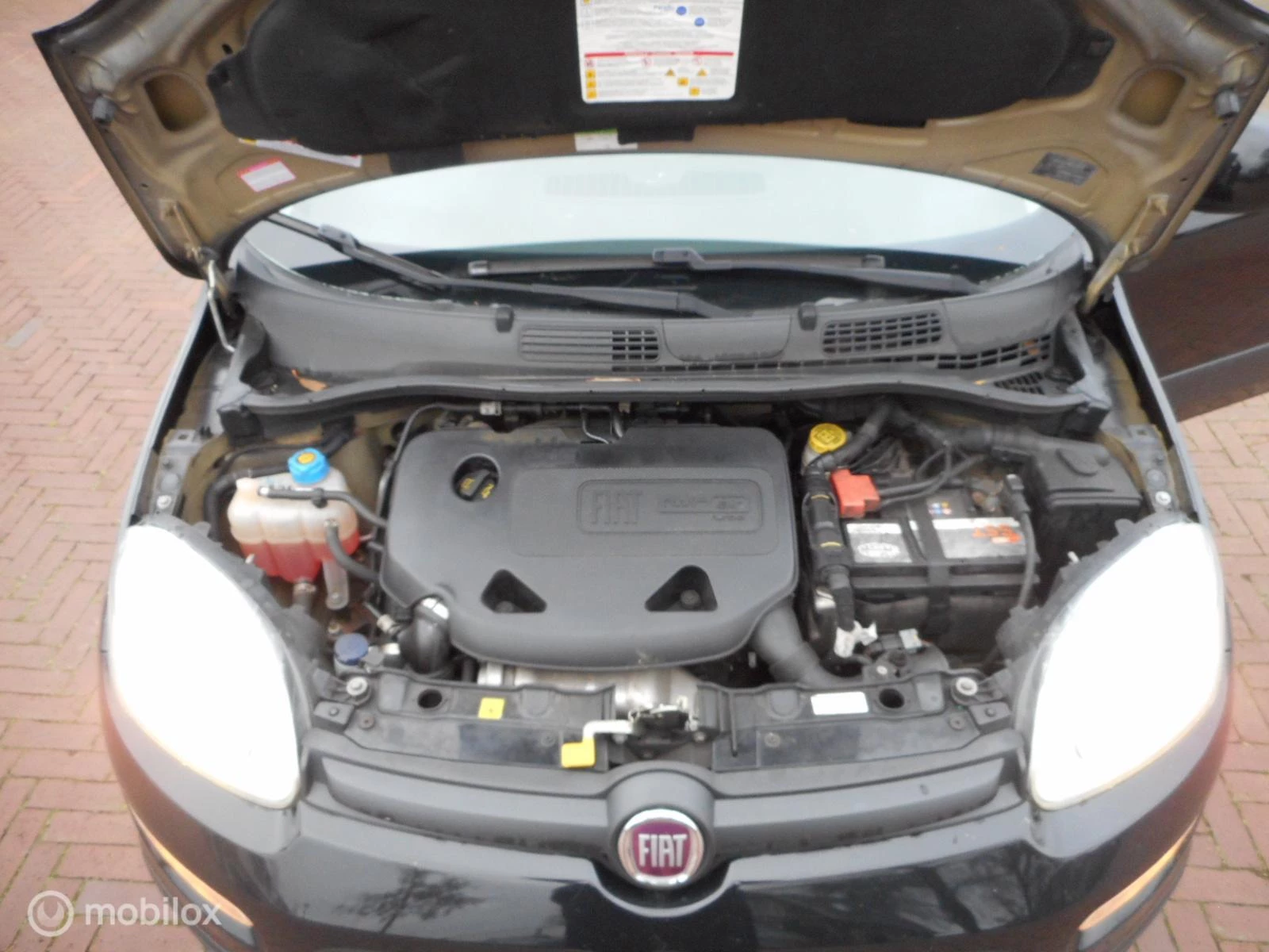 Hoofdafbeelding Fiat Panda