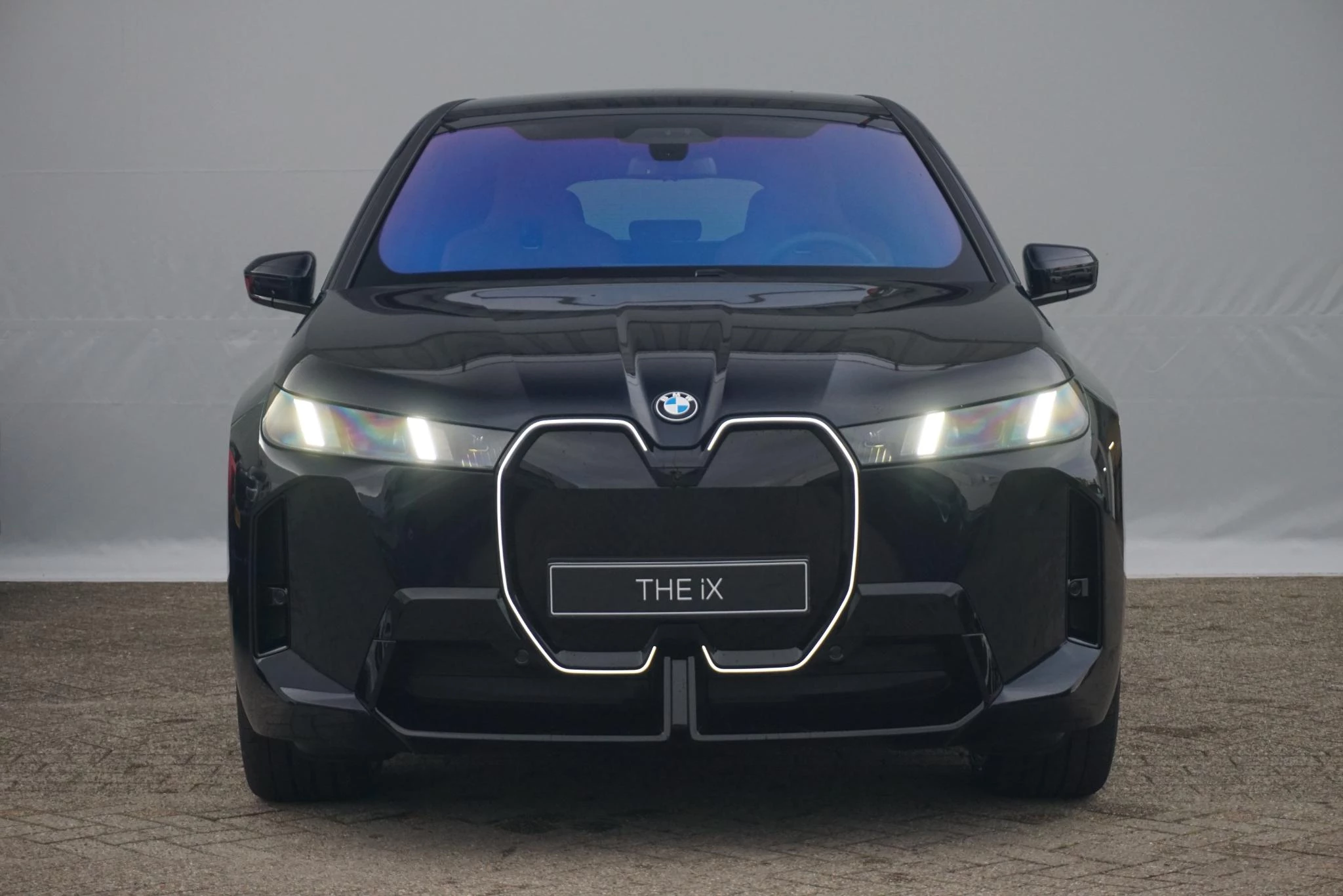 Hoofdafbeelding BMW iX