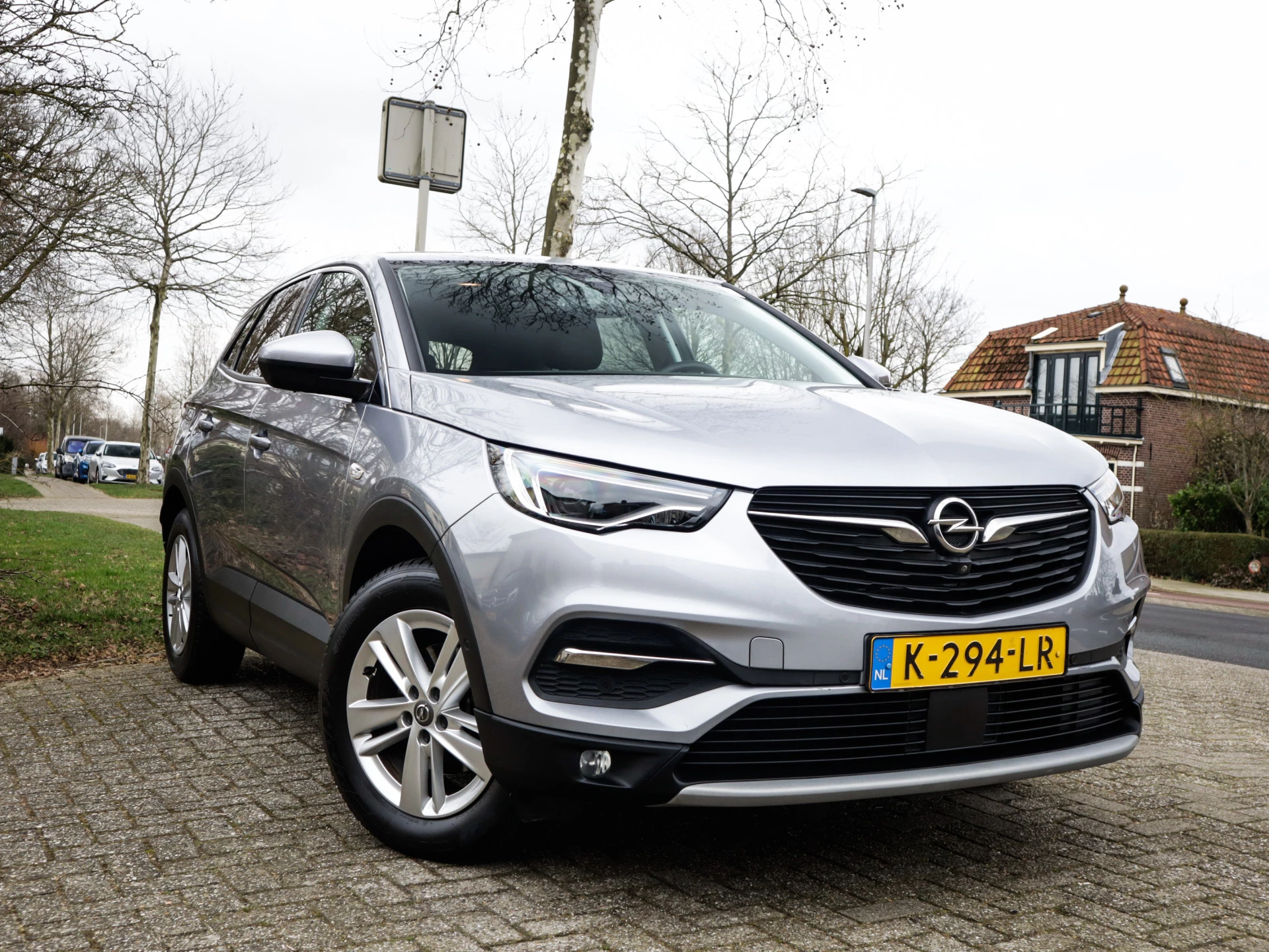 Hoofdafbeelding Opel Grandland X