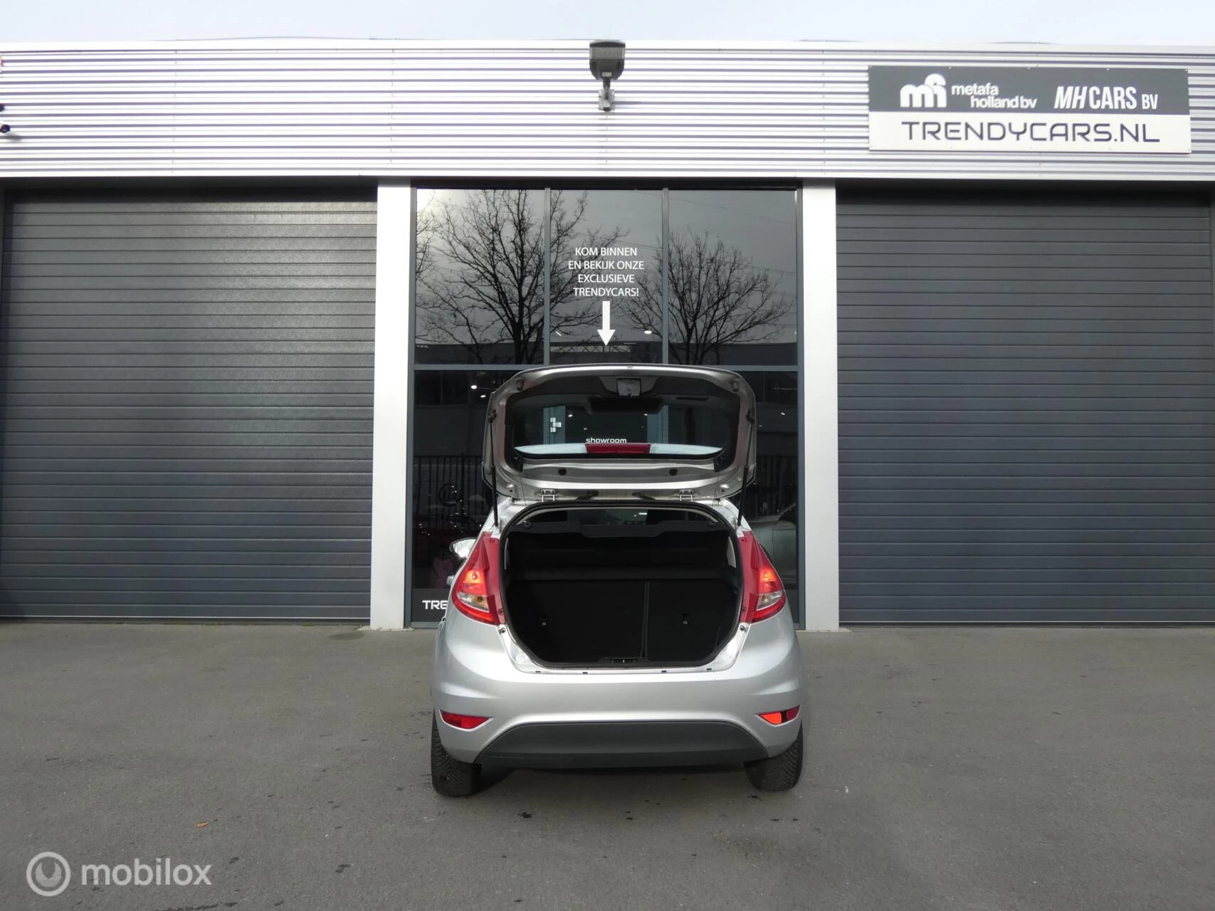 Hoofdafbeelding Ford Fiesta