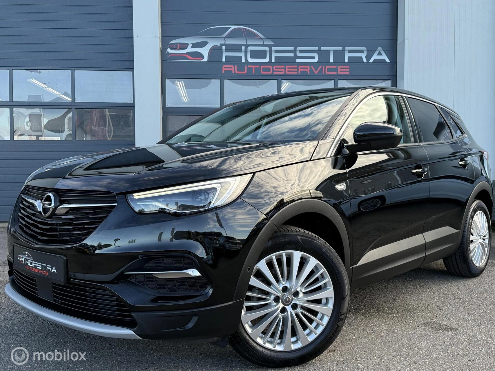 Hoofdafbeelding Opel Grandland X