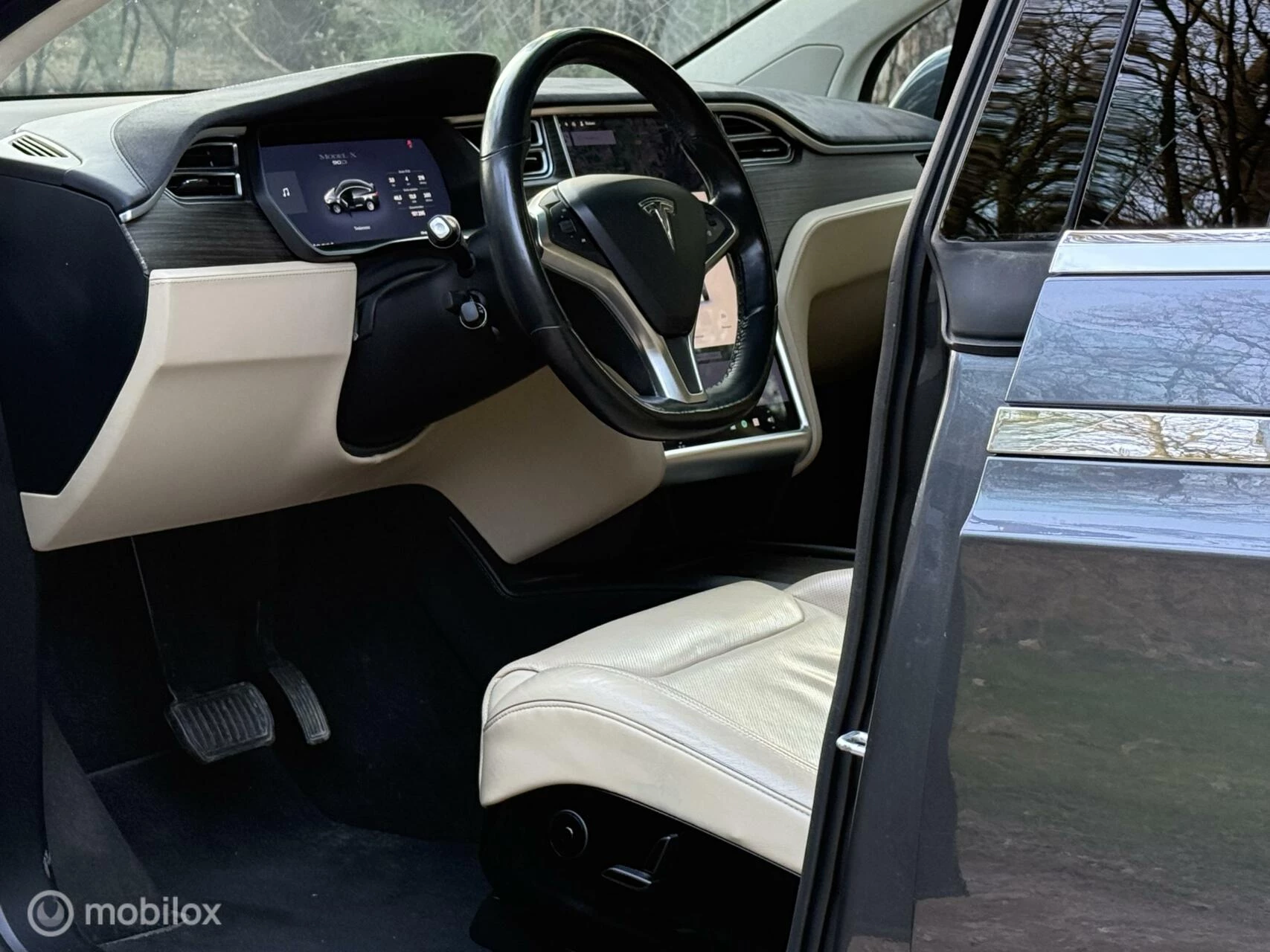 Hoofdafbeelding Tesla Model X