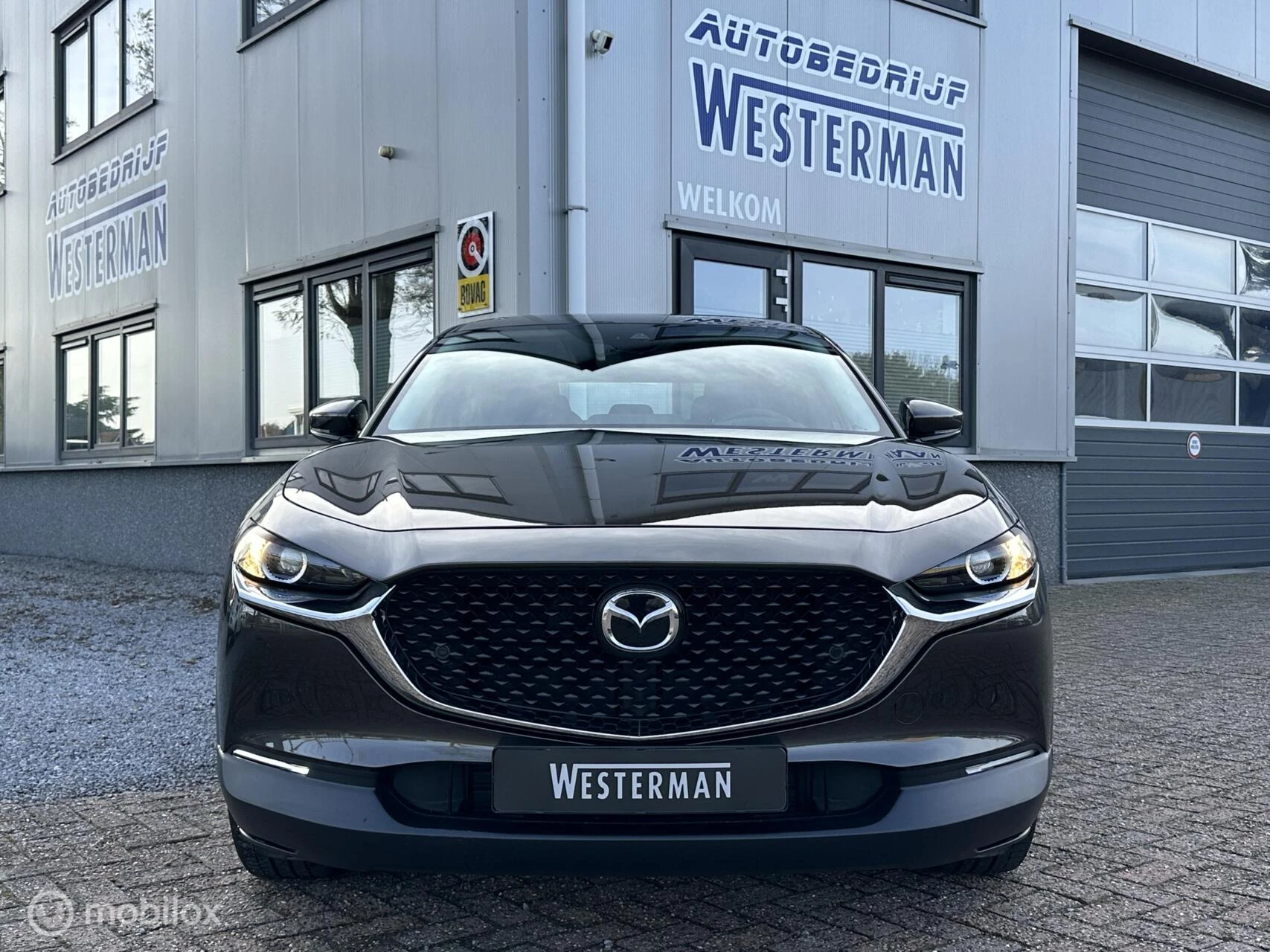 Hoofdafbeelding Mazda CX-30