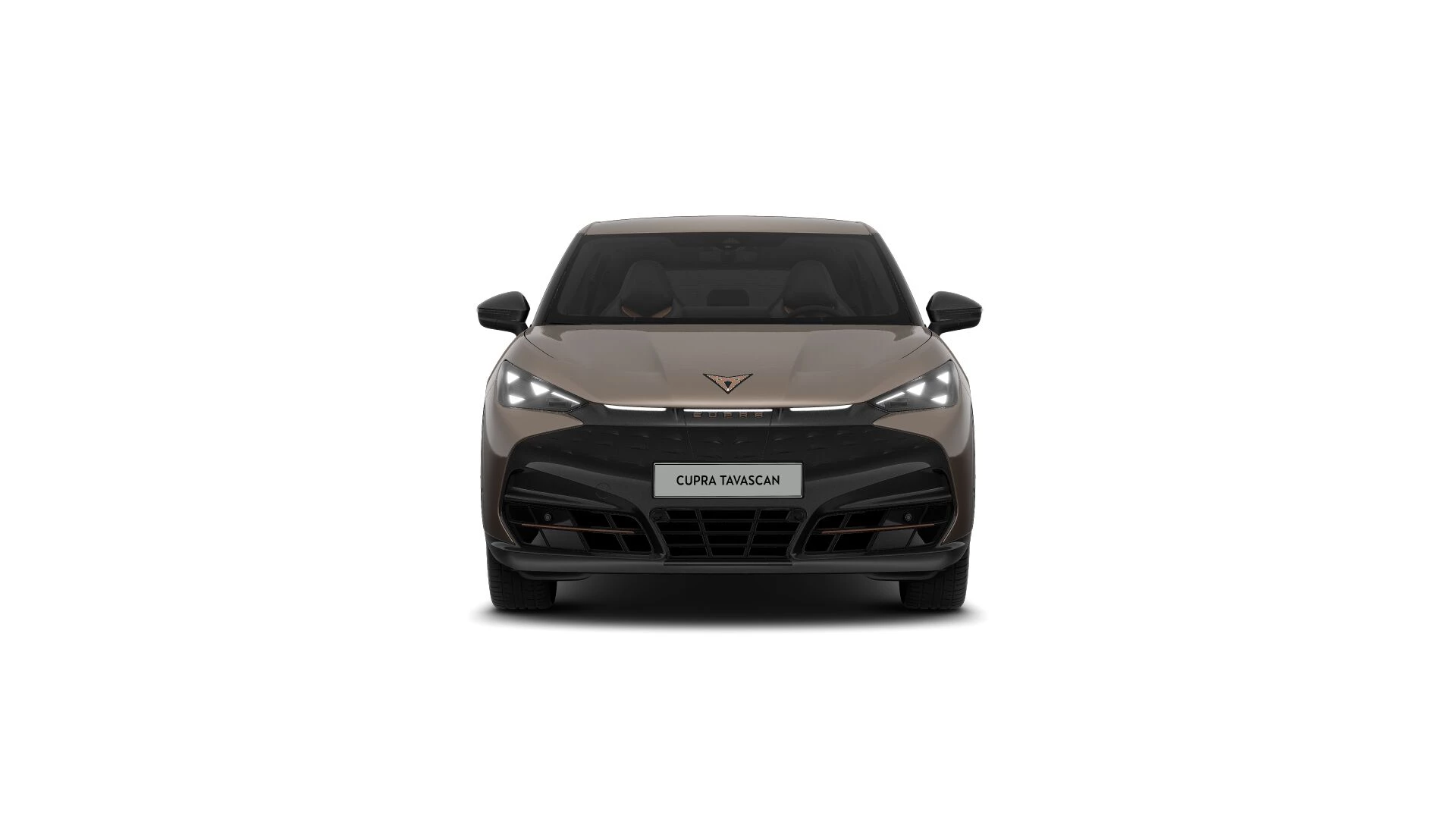 Hoofdafbeelding CUPRA Tavascan
