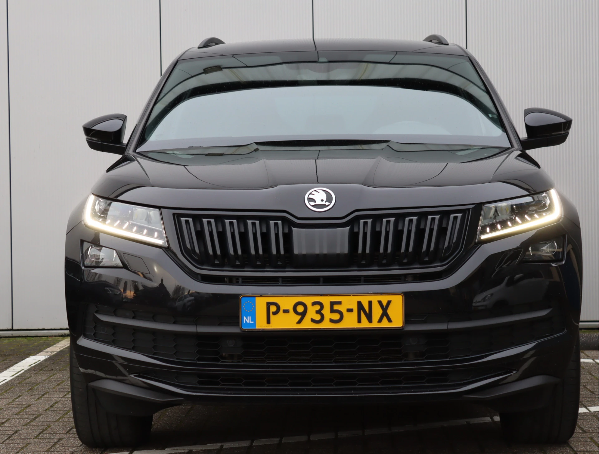 Hoofdafbeelding Škoda Kodiaq