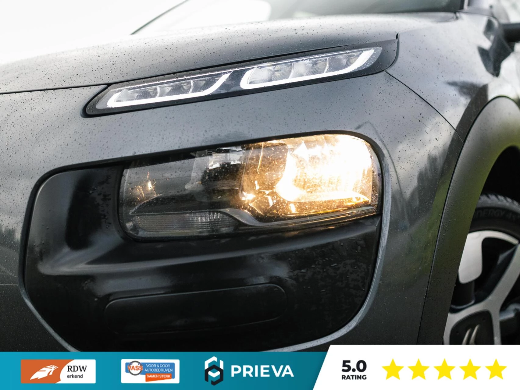 Hoofdafbeelding Citroën C4 Cactus