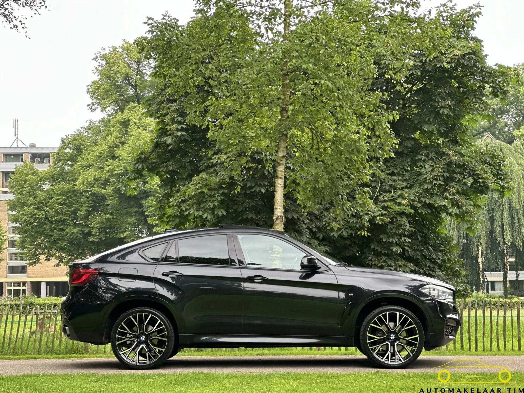 Hoofdafbeelding BMW X6