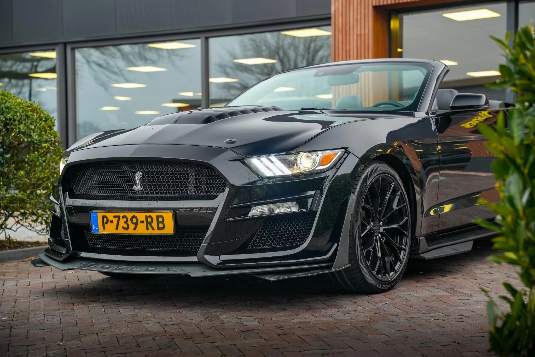 Hoofdafbeelding Ford Mustang