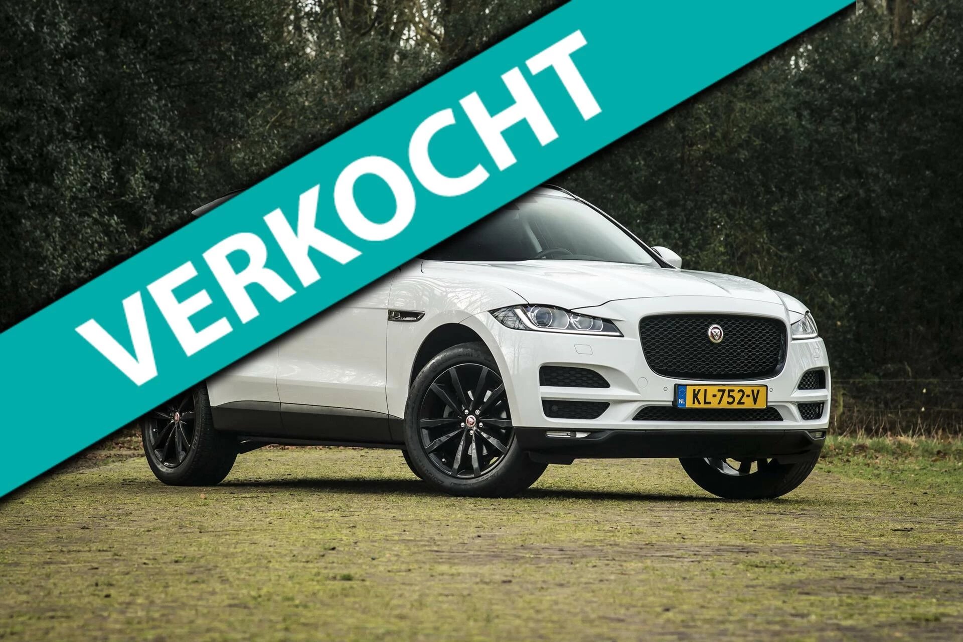 Hoofdafbeelding Jaguar F-PACE