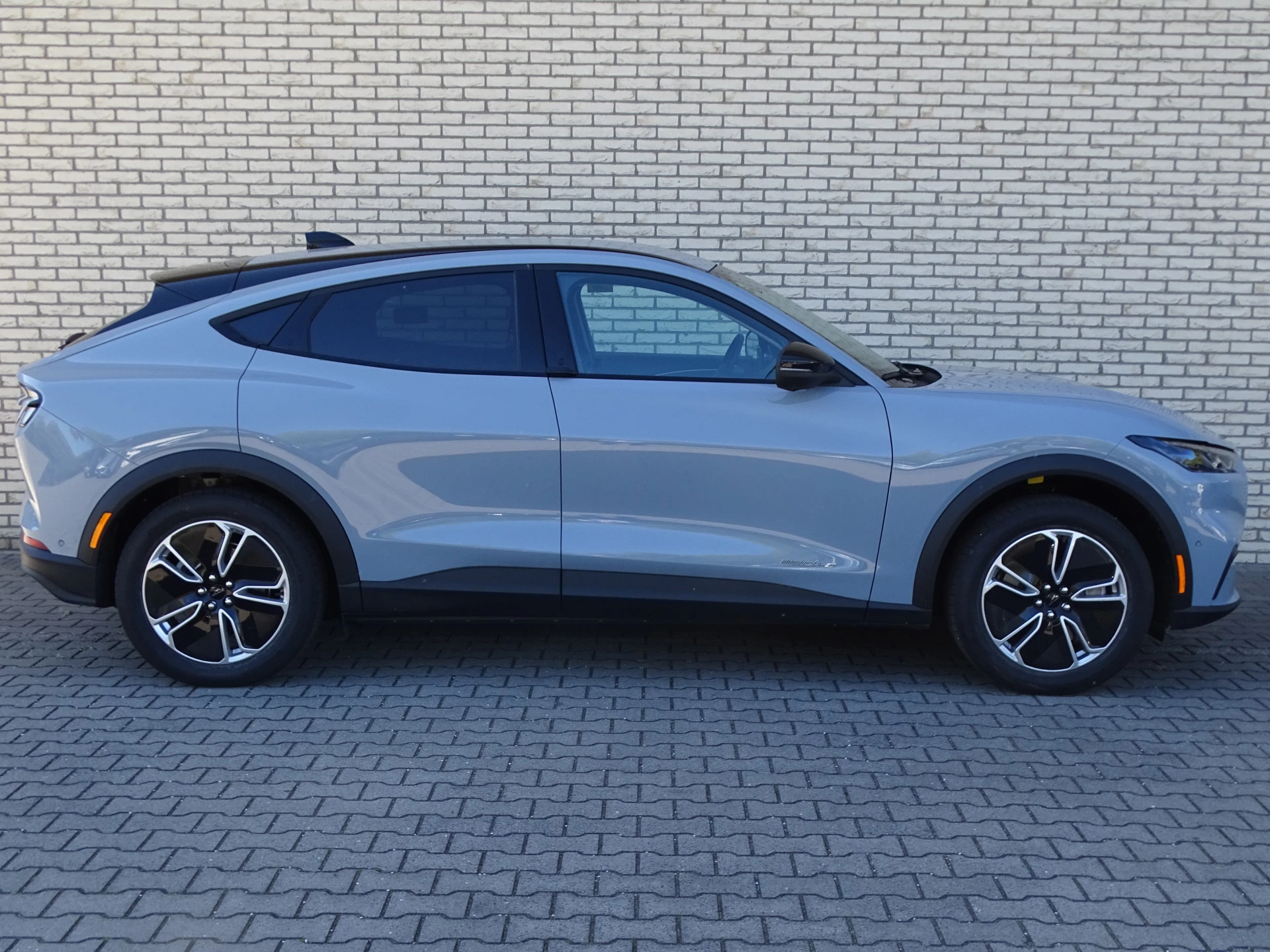 Hoofdafbeelding Ford Mustang Mach-E