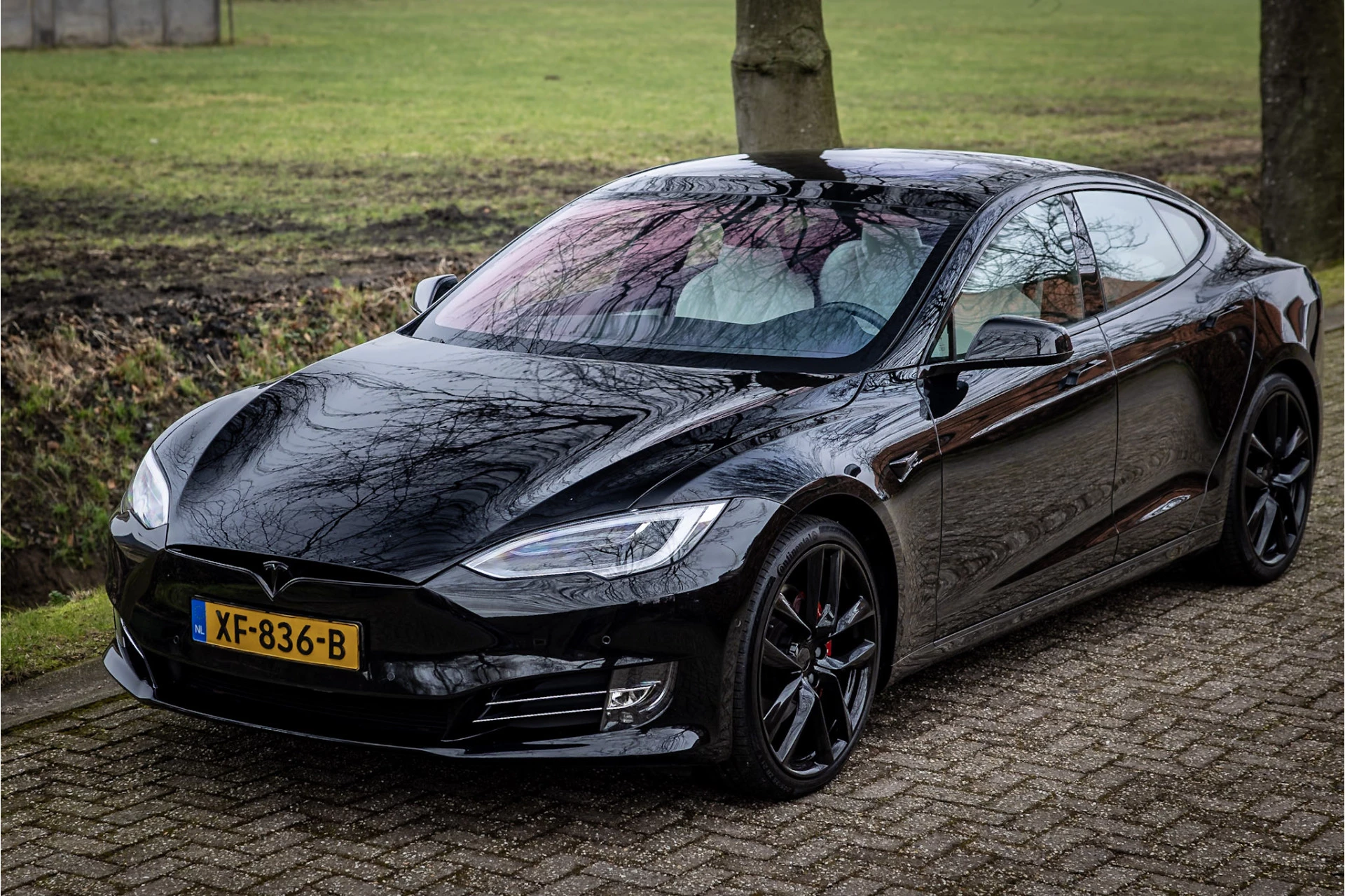 Hoofdafbeelding Tesla Model S