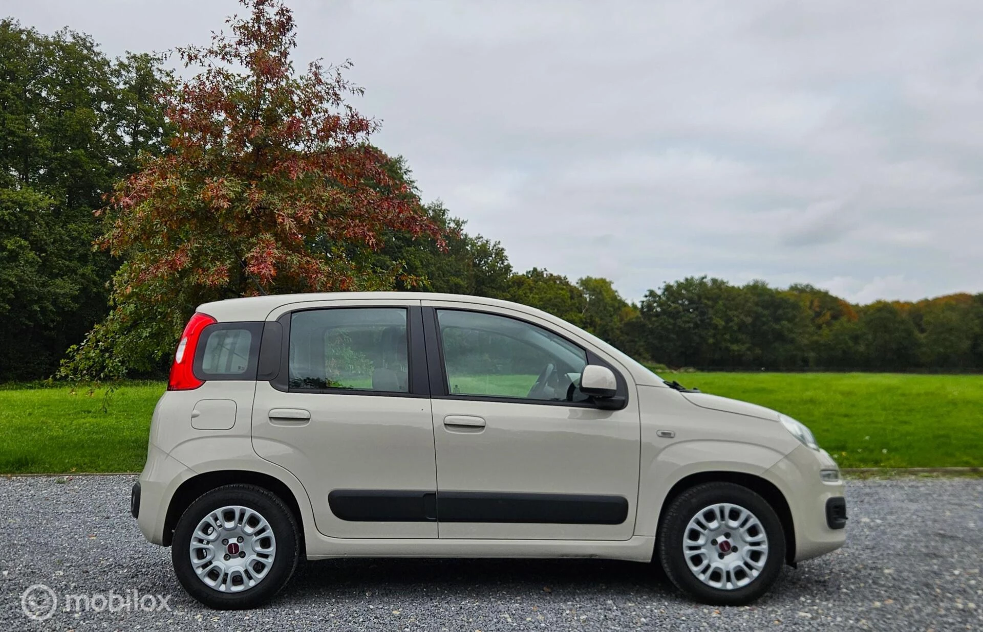 Hoofdafbeelding Fiat Panda