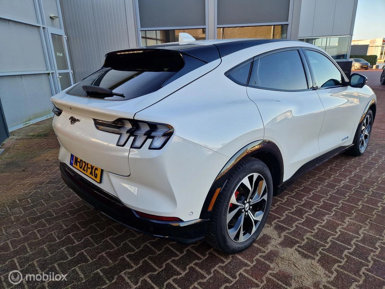 Hoofdafbeelding Ford Mustang Mach-E