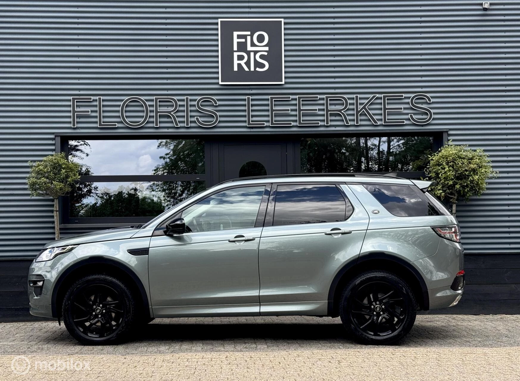 Hoofdafbeelding Land Rover Discovery Sport