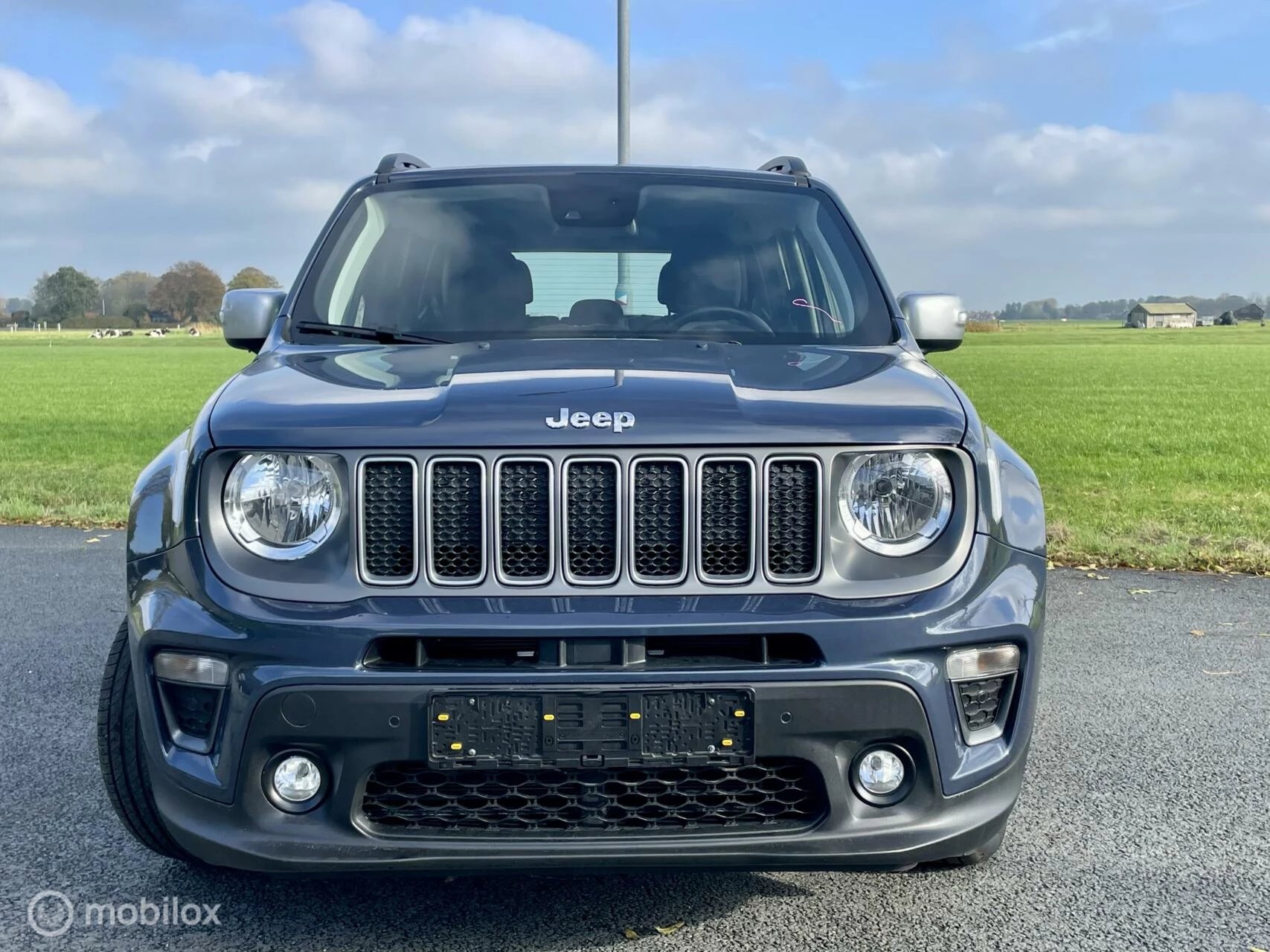 Hoofdafbeelding Jeep Renegade