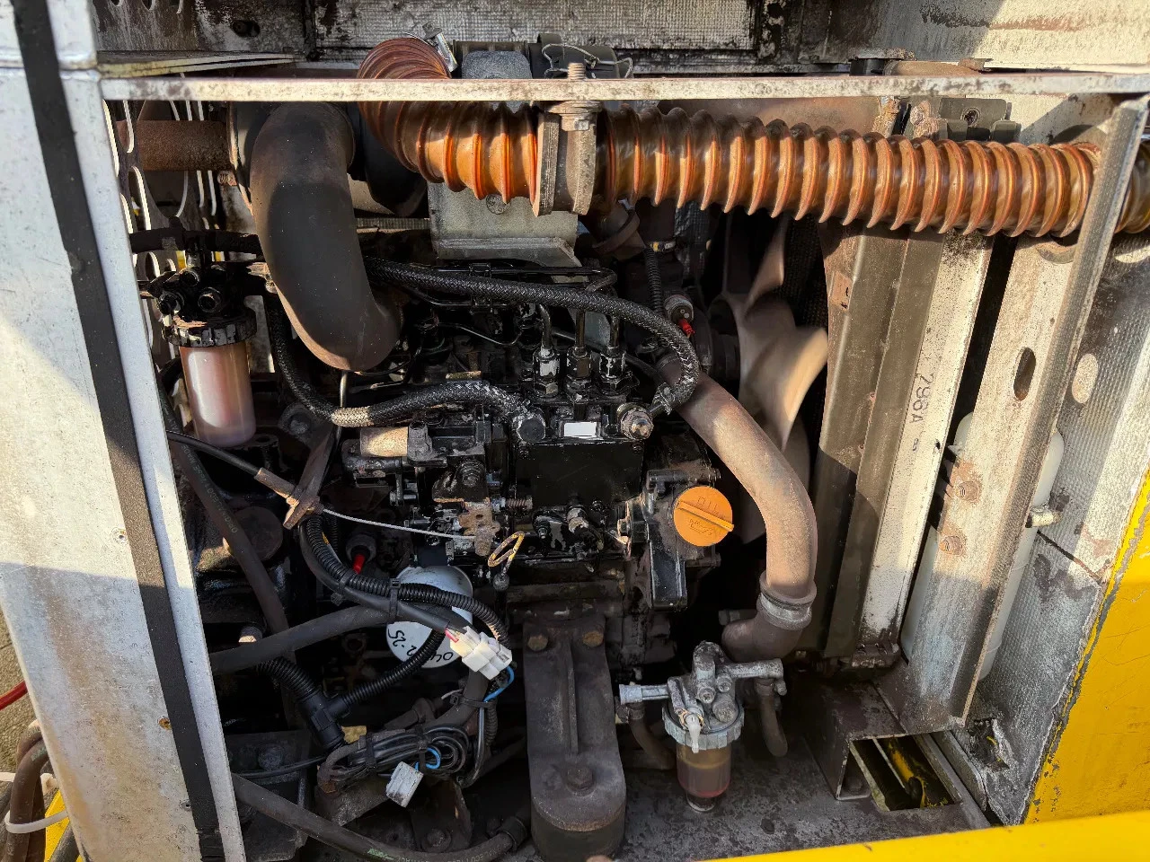 Hoofdafbeelding Paus 