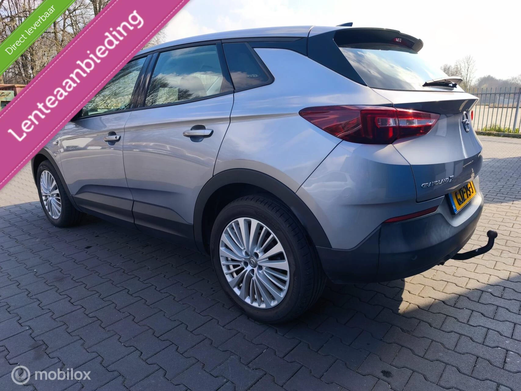 Hoofdafbeelding Opel Grandland X