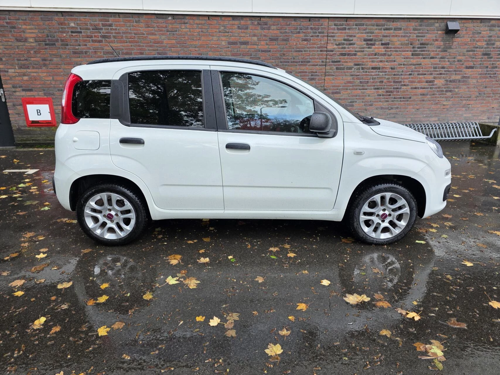 Hoofdafbeelding Fiat Panda