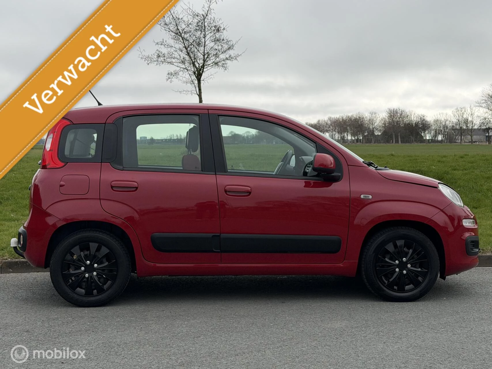 Hoofdafbeelding Fiat Panda