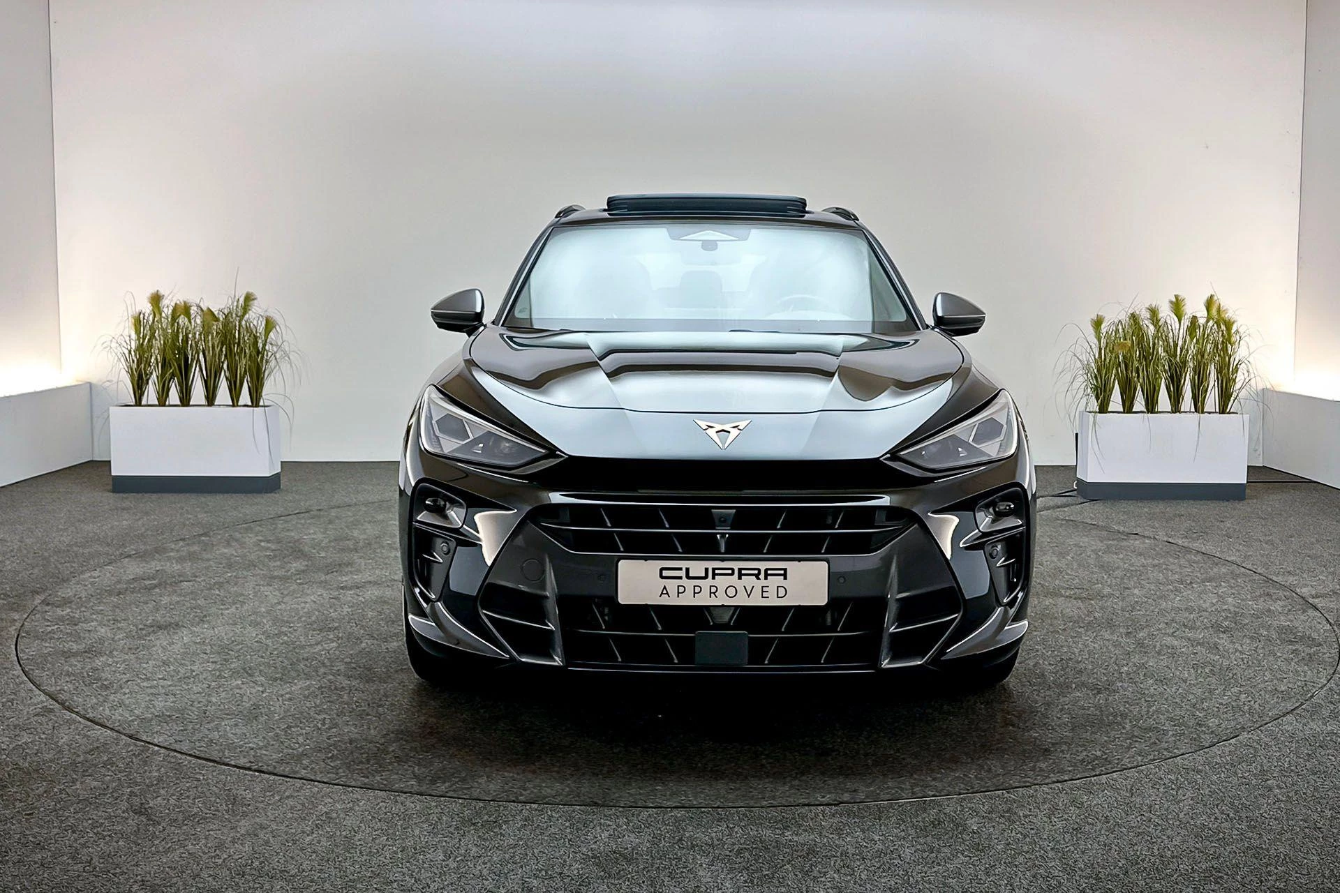 Hoofdafbeelding CUPRA Terramar