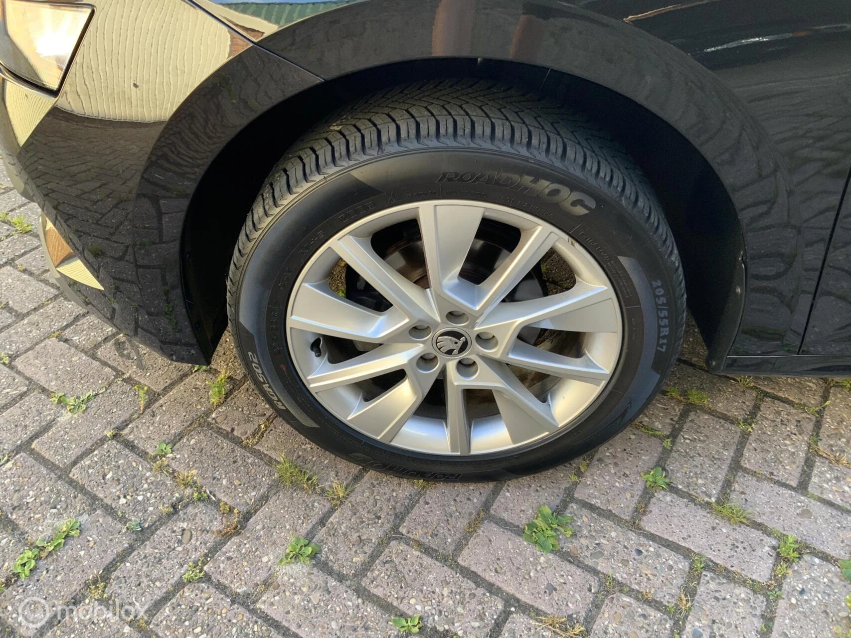 Hoofdafbeelding Škoda Kamiq