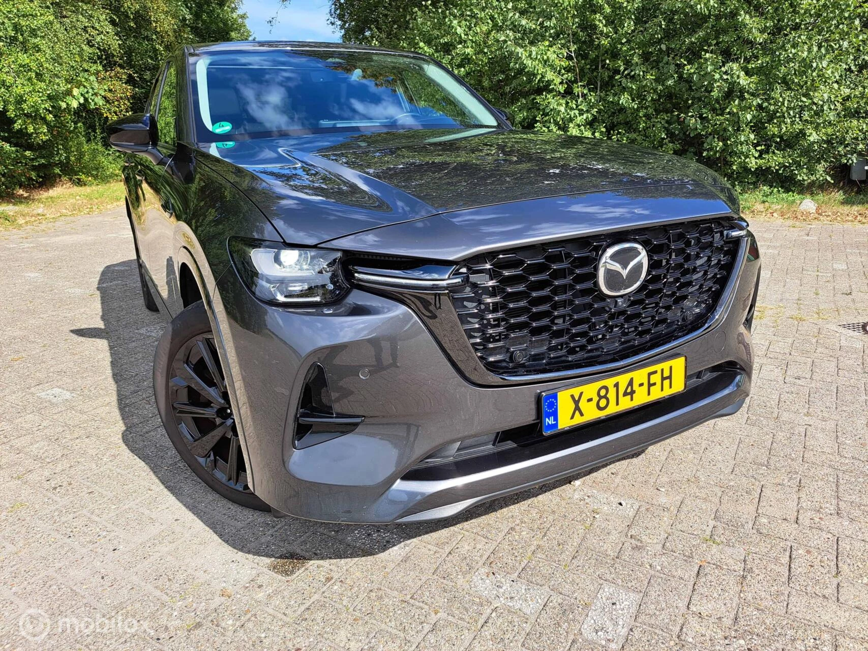 Hoofdafbeelding Mazda CX-60