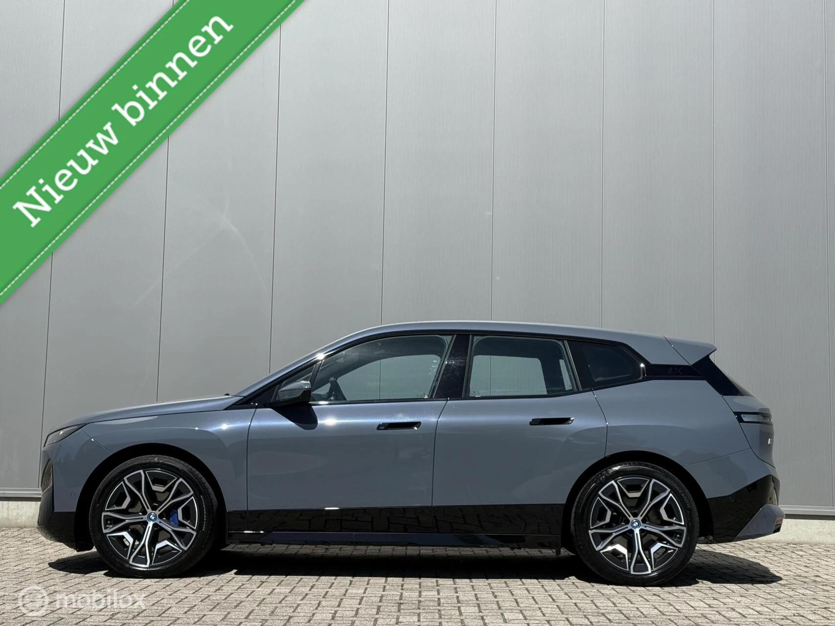 Hoofdafbeelding BMW iX