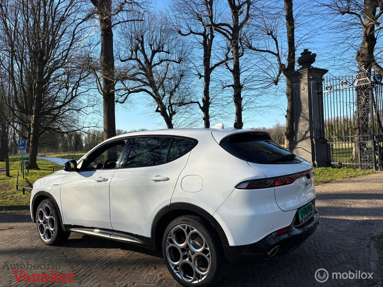 Hoofdafbeelding Alfa Romeo Tonale