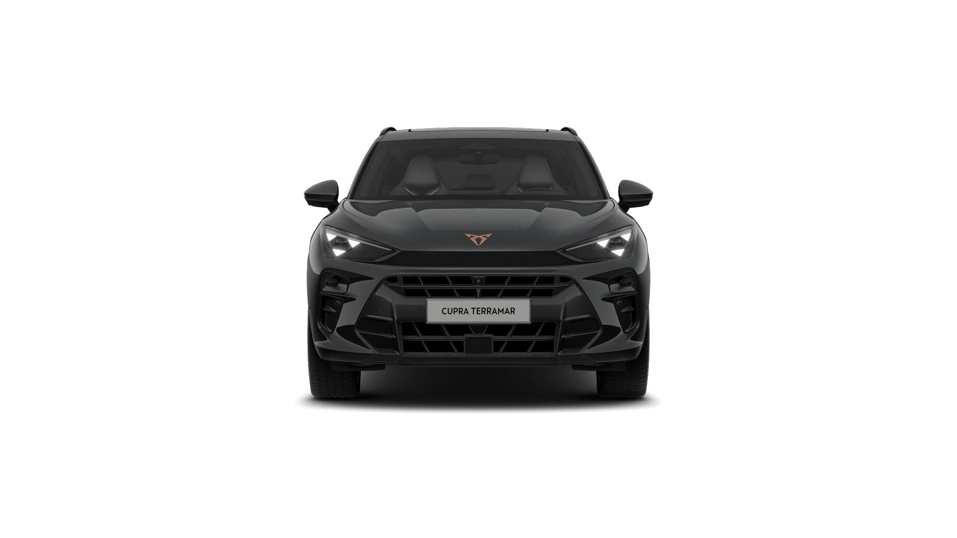 Hoofdafbeelding CUPRA Terramar