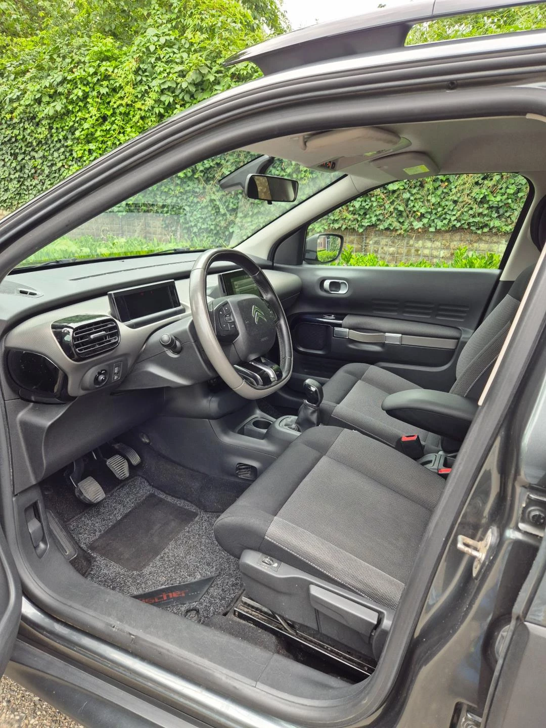 Hoofdafbeelding Citroën C4 Cactus