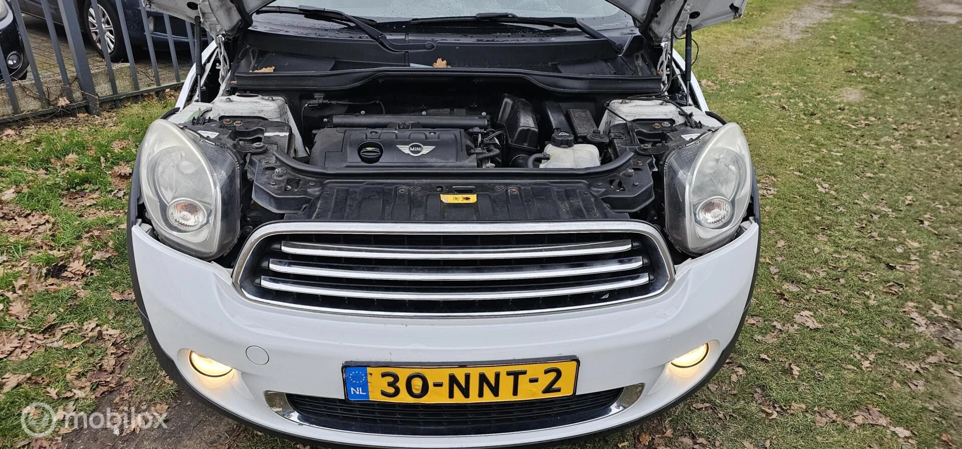 Hoofdafbeelding MINI Countryman