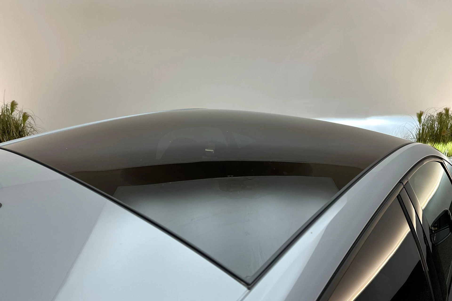 Hoofdafbeelding CUPRA Born