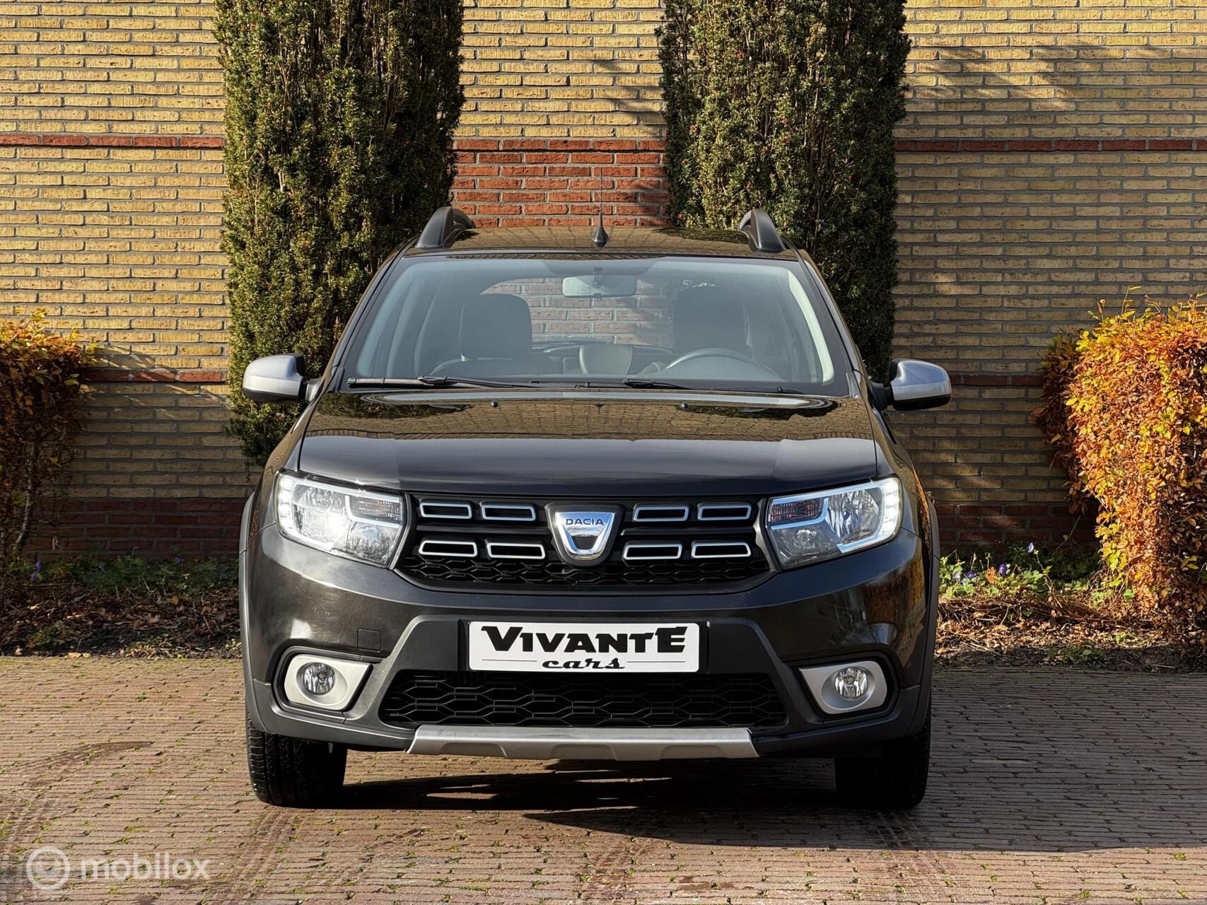 Hoofdafbeelding Dacia Sandero Stepway