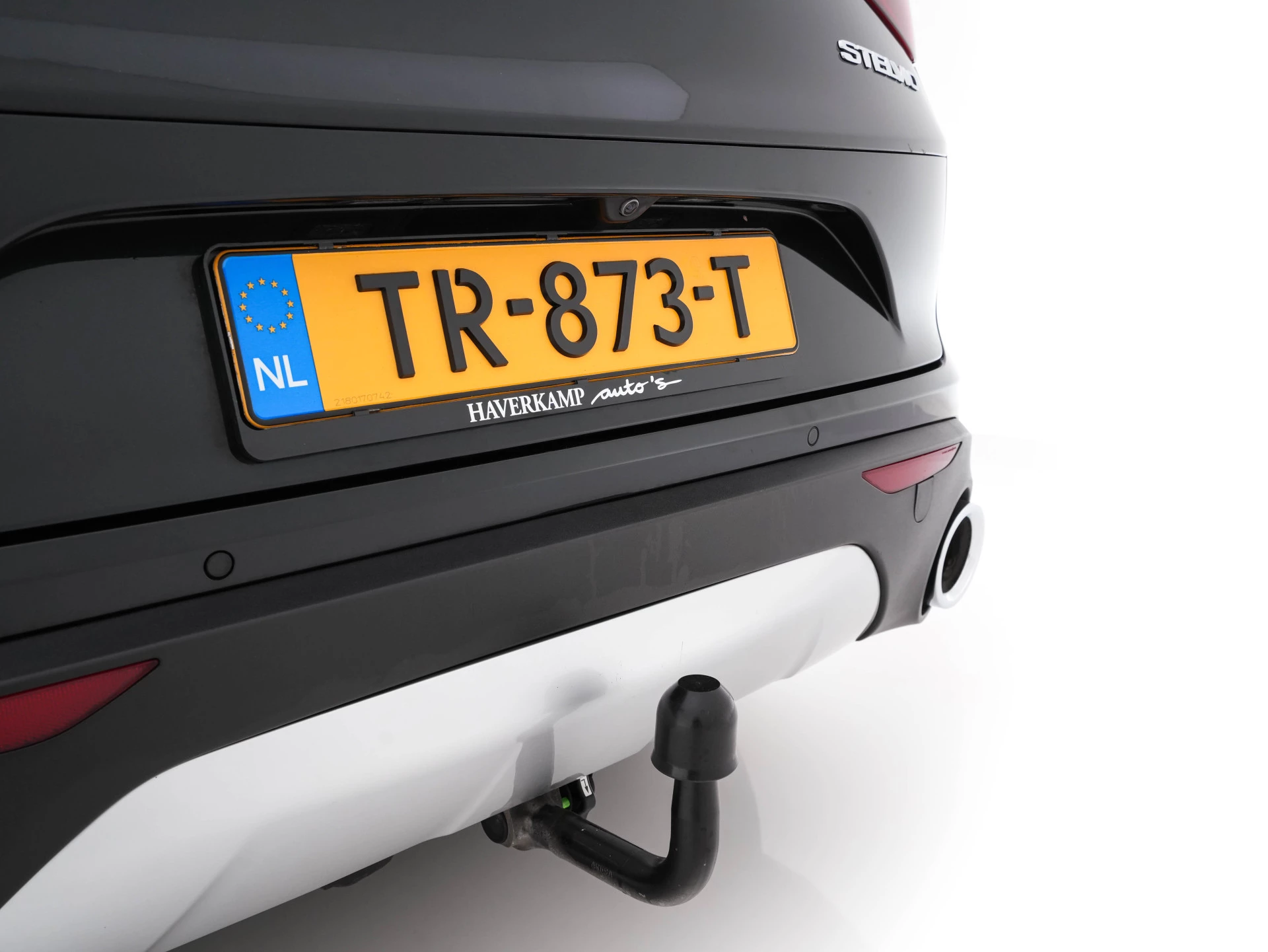 Hoofdafbeelding Alfa Romeo Stelvio