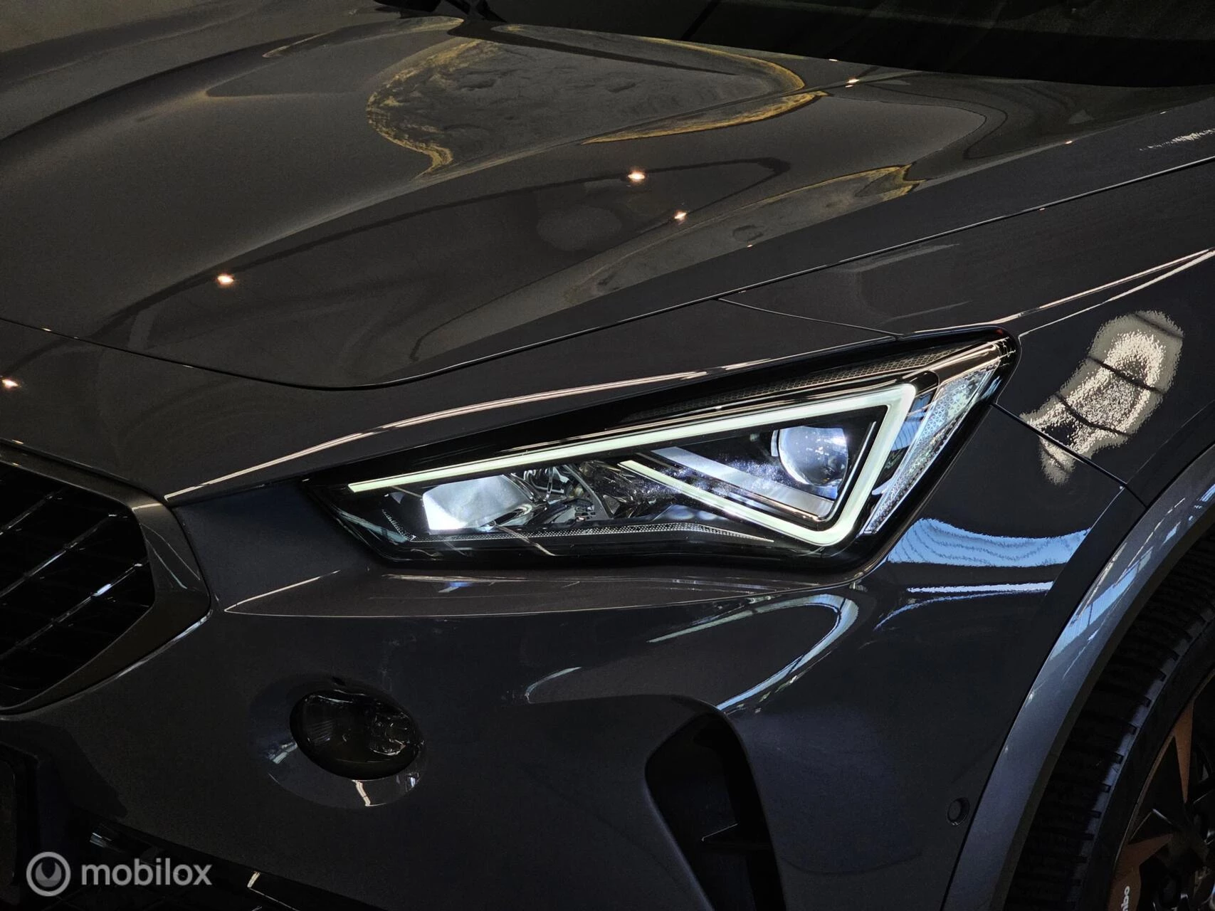 Hoofdafbeelding CUPRA Formentor