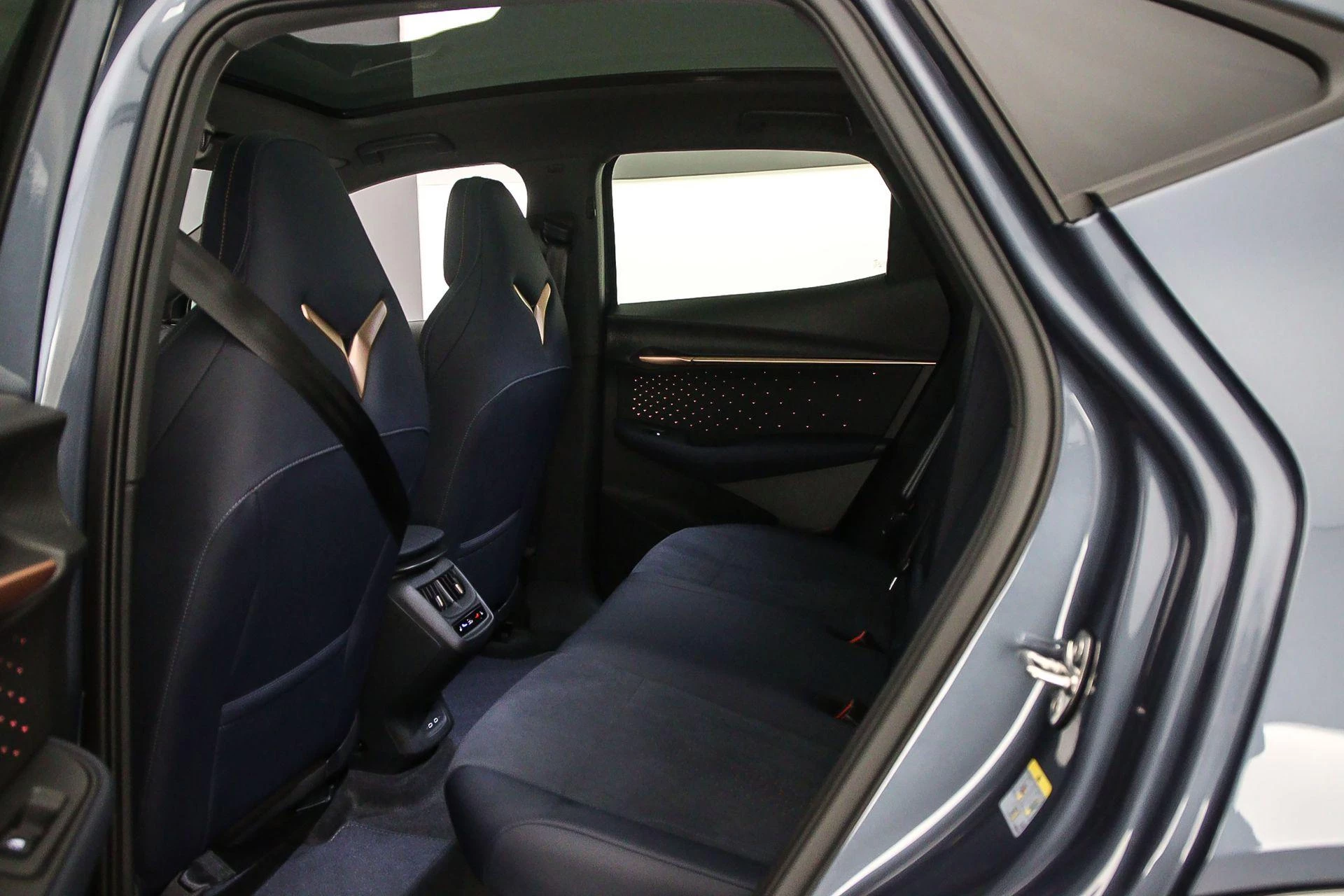 Hoofdafbeelding CUPRA Tavascan