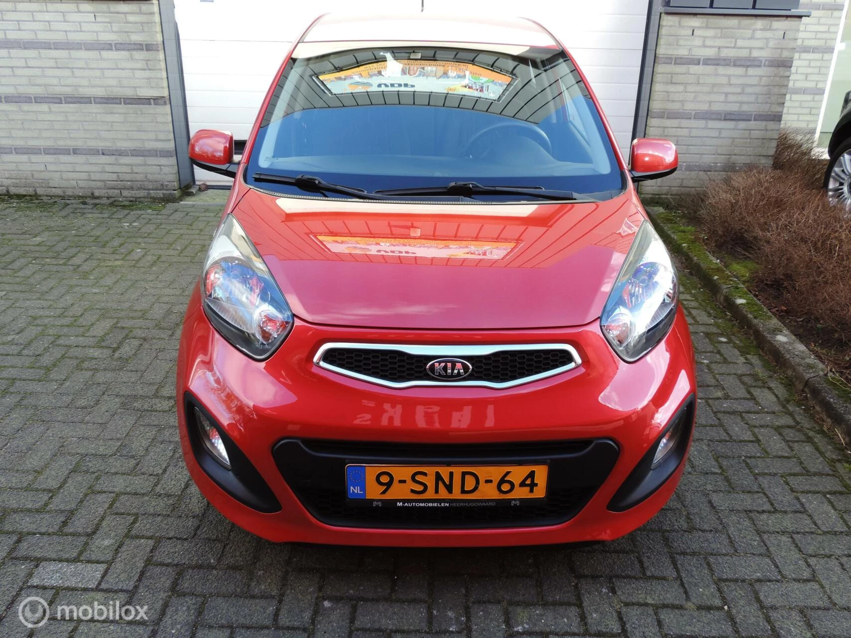 Hoofdafbeelding Kia Picanto