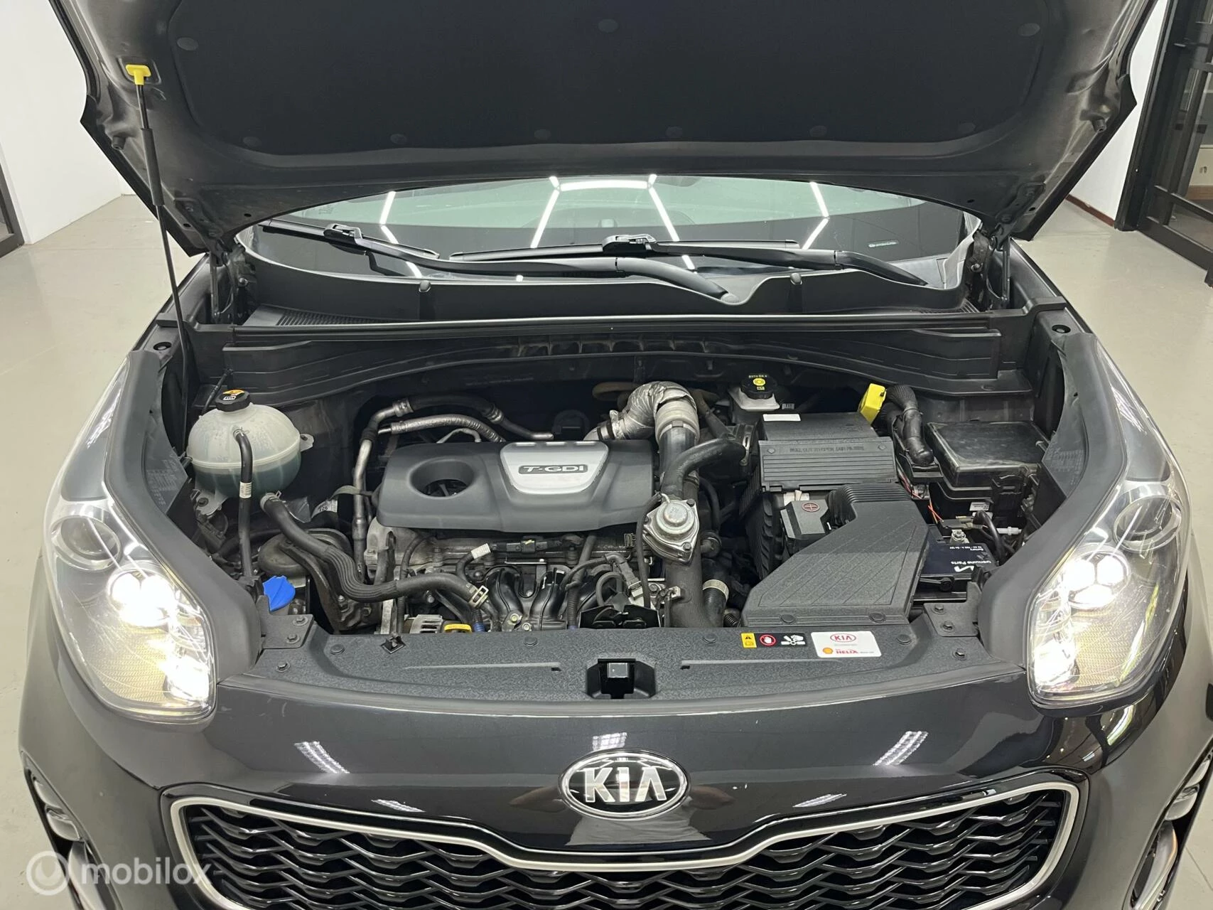Hoofdafbeelding Kia Sportage