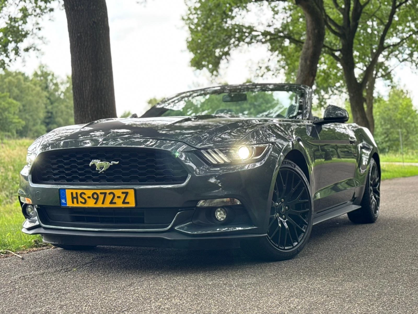 Hoofdafbeelding Ford Mustang