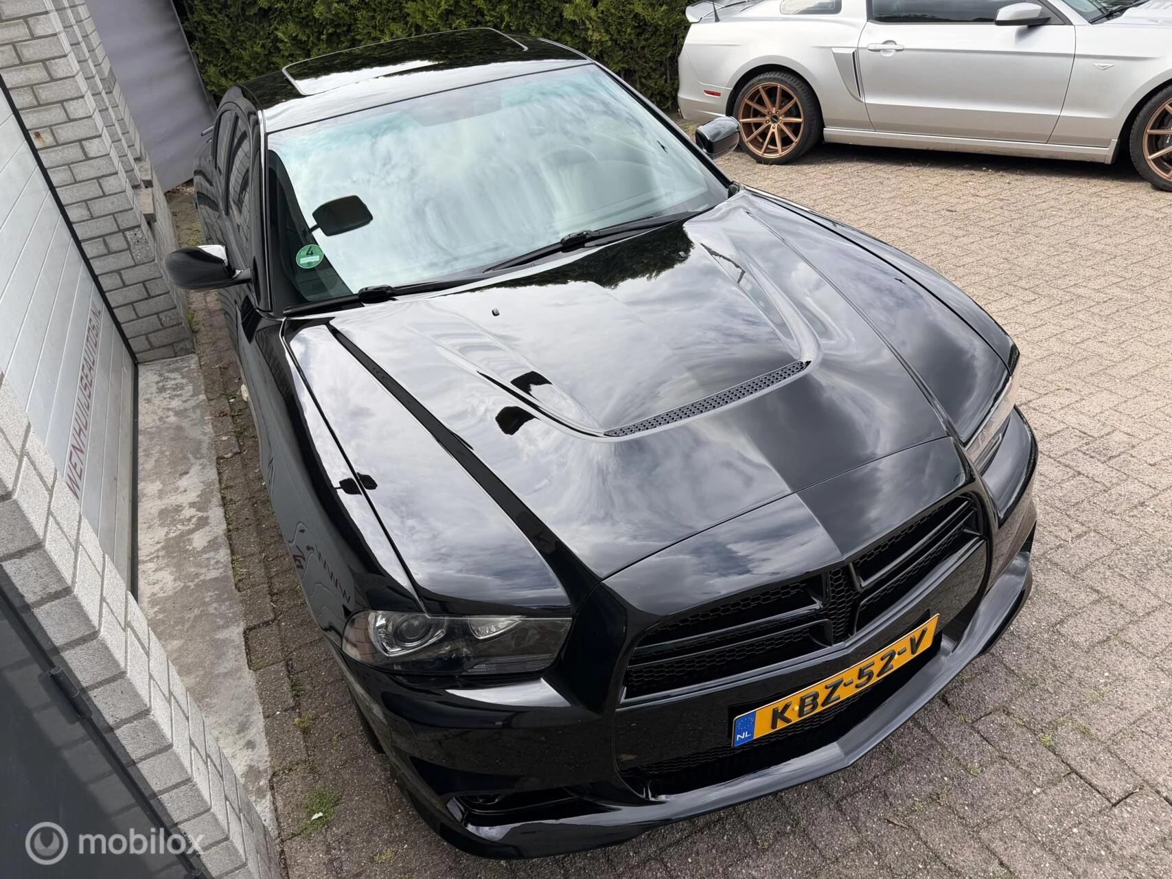 Hoofdafbeelding Dodge Charger