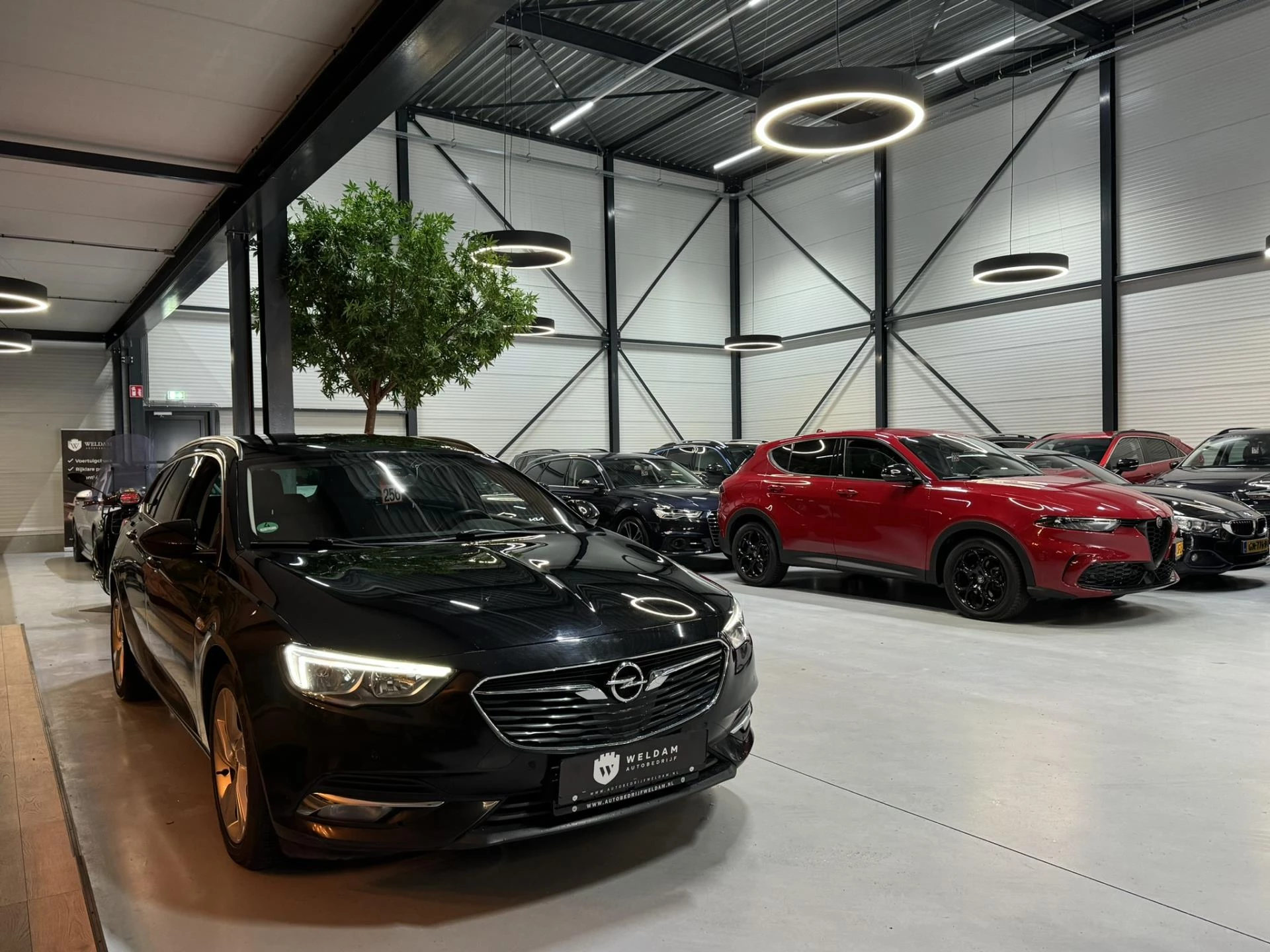 Hoofdafbeelding Opel Insignia