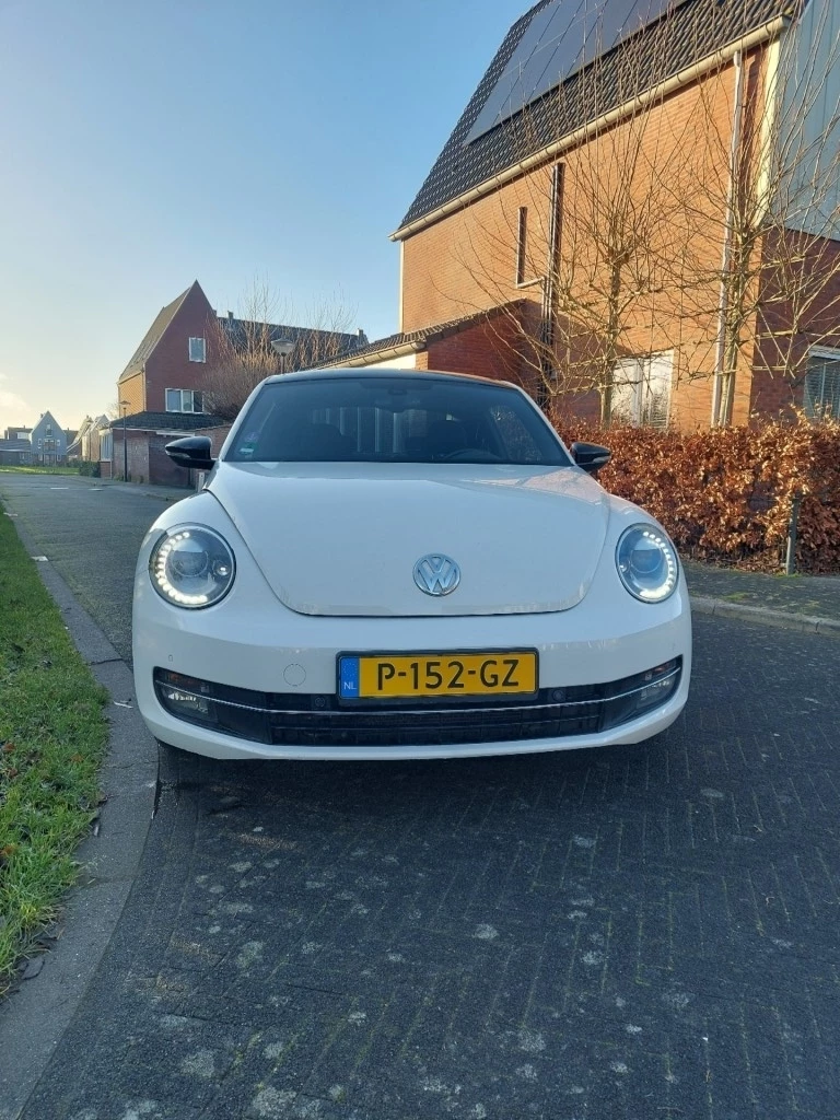 Hoofdafbeelding Volkswagen Beetle