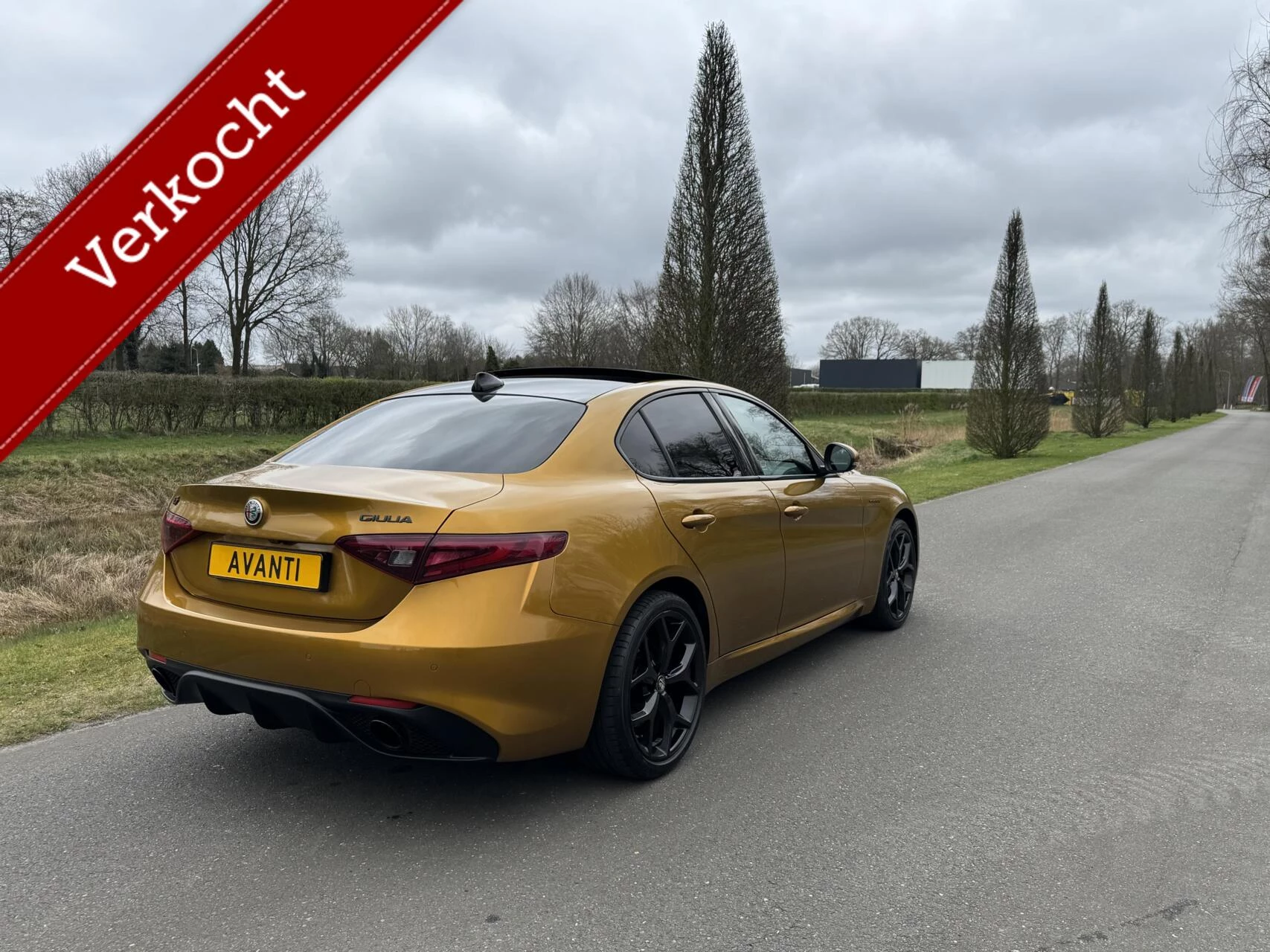 Hoofdafbeelding Alfa Romeo Giulia